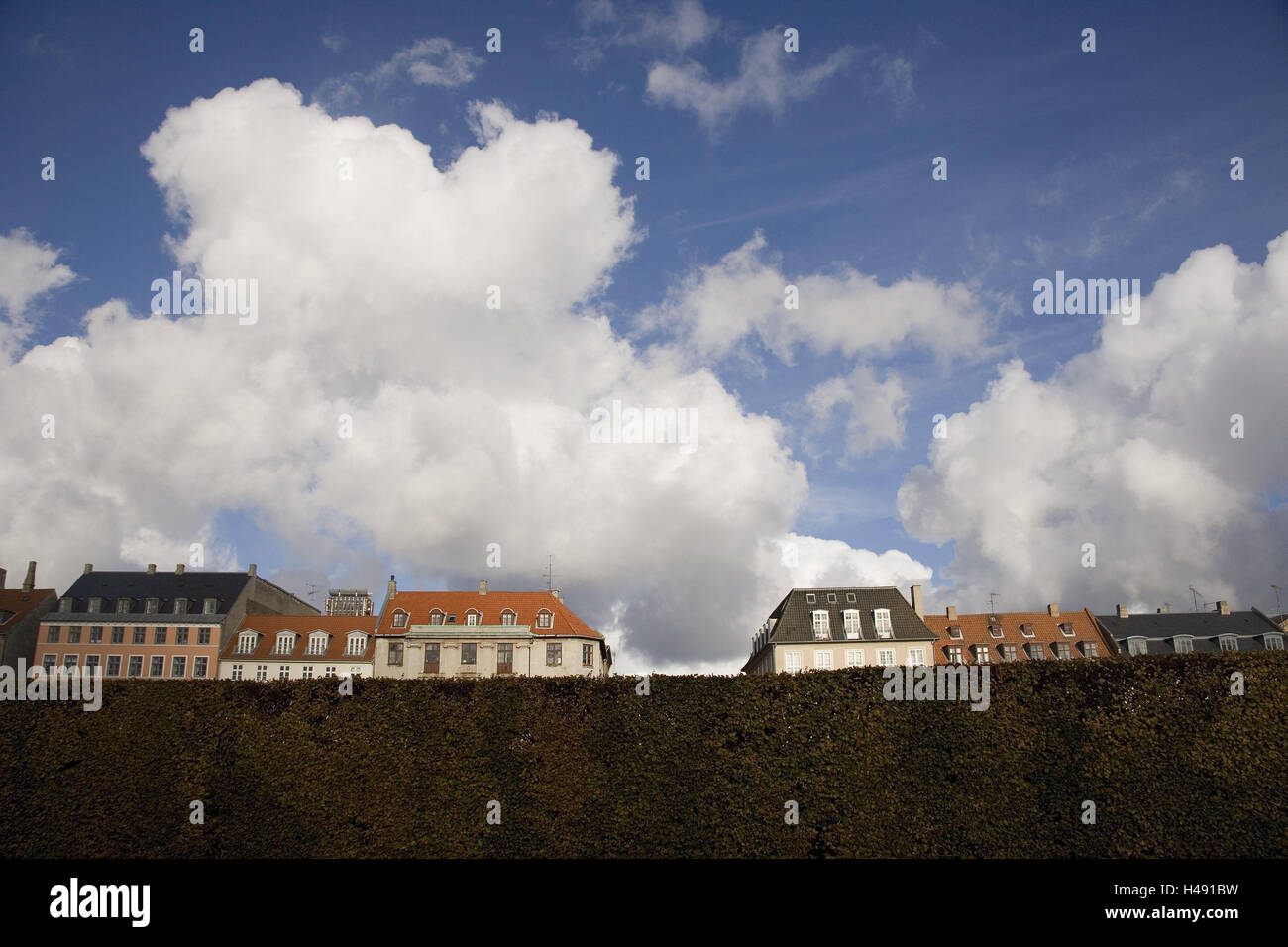 Danimarca, Copenaghen, rose parco di credito, siepe, vista, facciate di case, dettaglio autunno, capitale, case, edifici, parco, cielo nuvoloso, esterno, Foto Stock