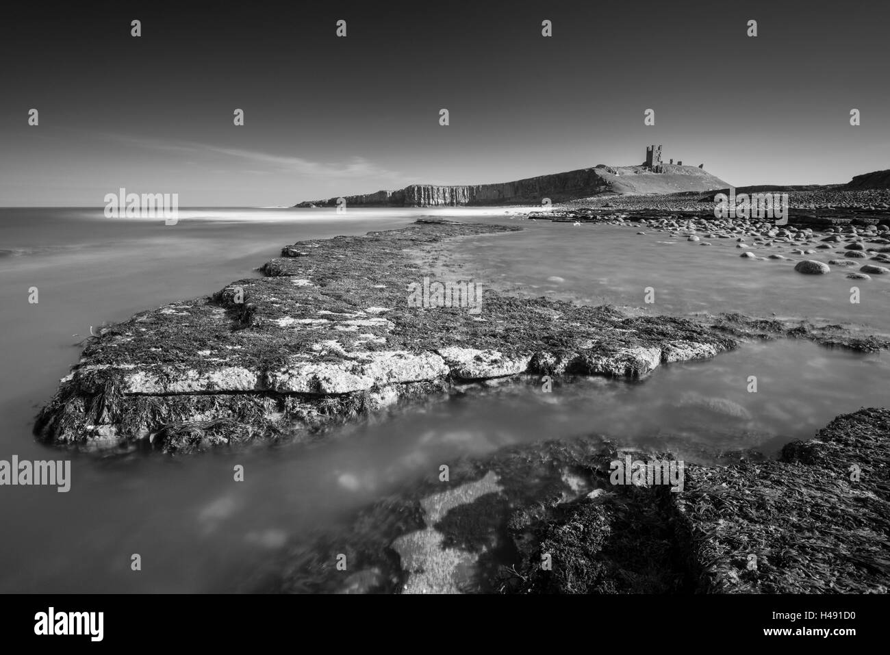 Il castello di Dunstanburgh dalle battute rocciose di Embleton Bay, Northumberland, Inghilterra. Molla (Marzo) 2014. Foto Stock