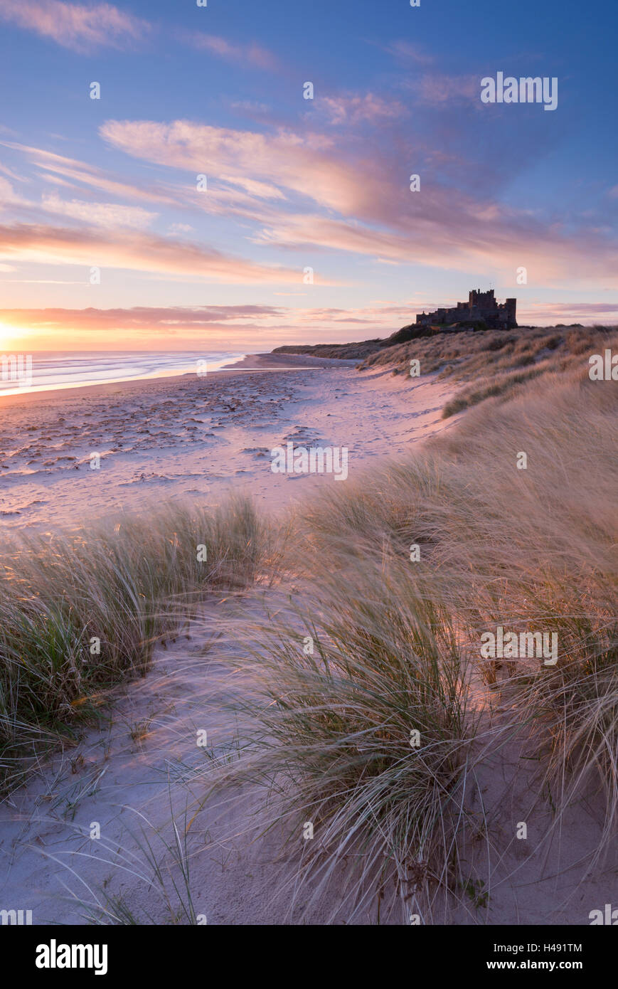 Sunrise over Bamburgh spiaggia castello e da dune di sabbia, Northumberland, Inghilterra. Molla (Marzo) 2014. Foto Stock