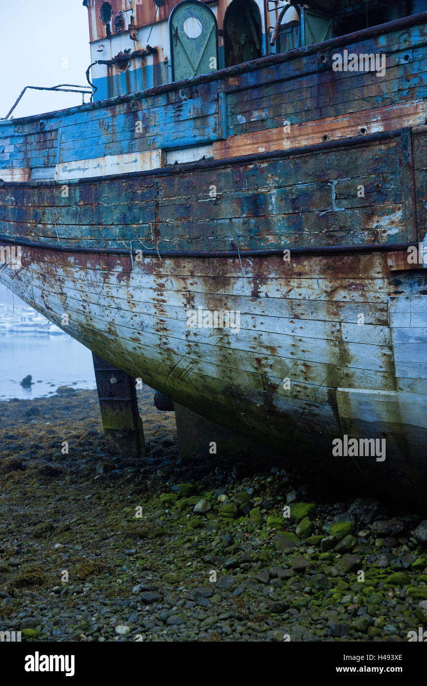 Vecchia nave relitto, close-up, Camaret sur Mer, Bretagna, Francia, Foto Stock