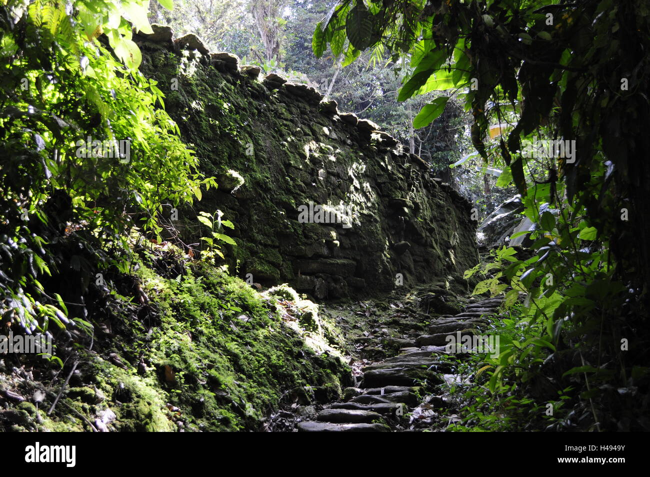 Ciudad Perdida, Santa Marta, Colombia Foto Stock