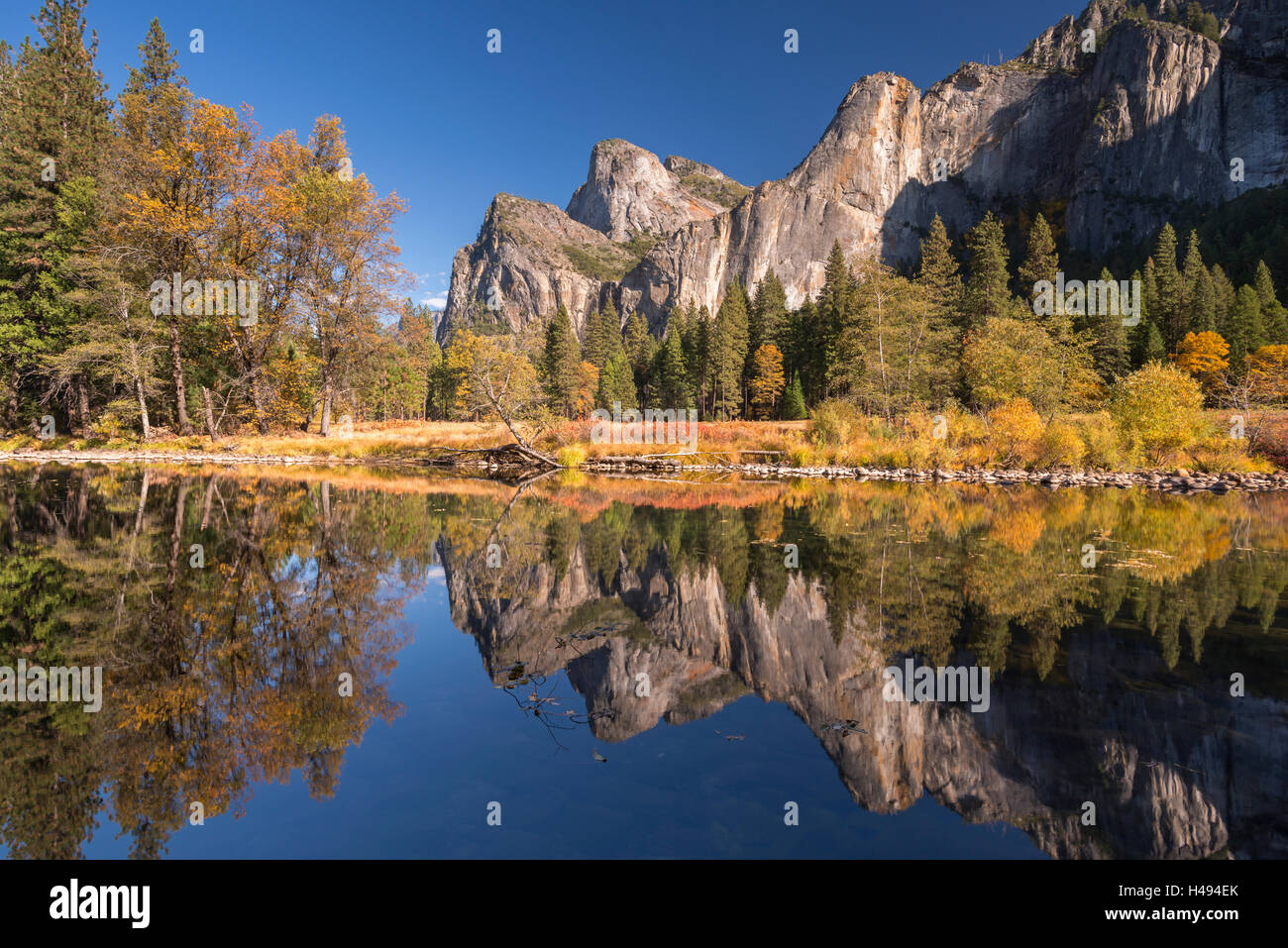 Yosemite Valley si riflette nel fiume Merced in vista della valle, Yosemite National Park, California, Stati Uniti d'America. In autunno (ottobre) 2013. Foto Stock