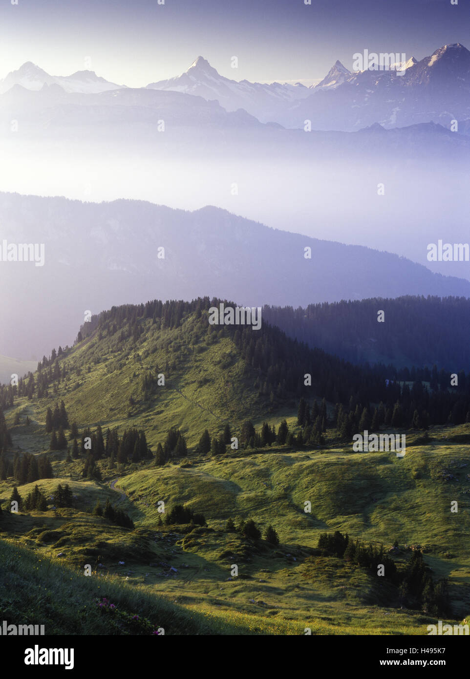 La Svizzera, l'Oberland Bernese, vista dal Gemmenalbhorn sui quattro-thousanders della regione della Jungfrau, Foto Stock