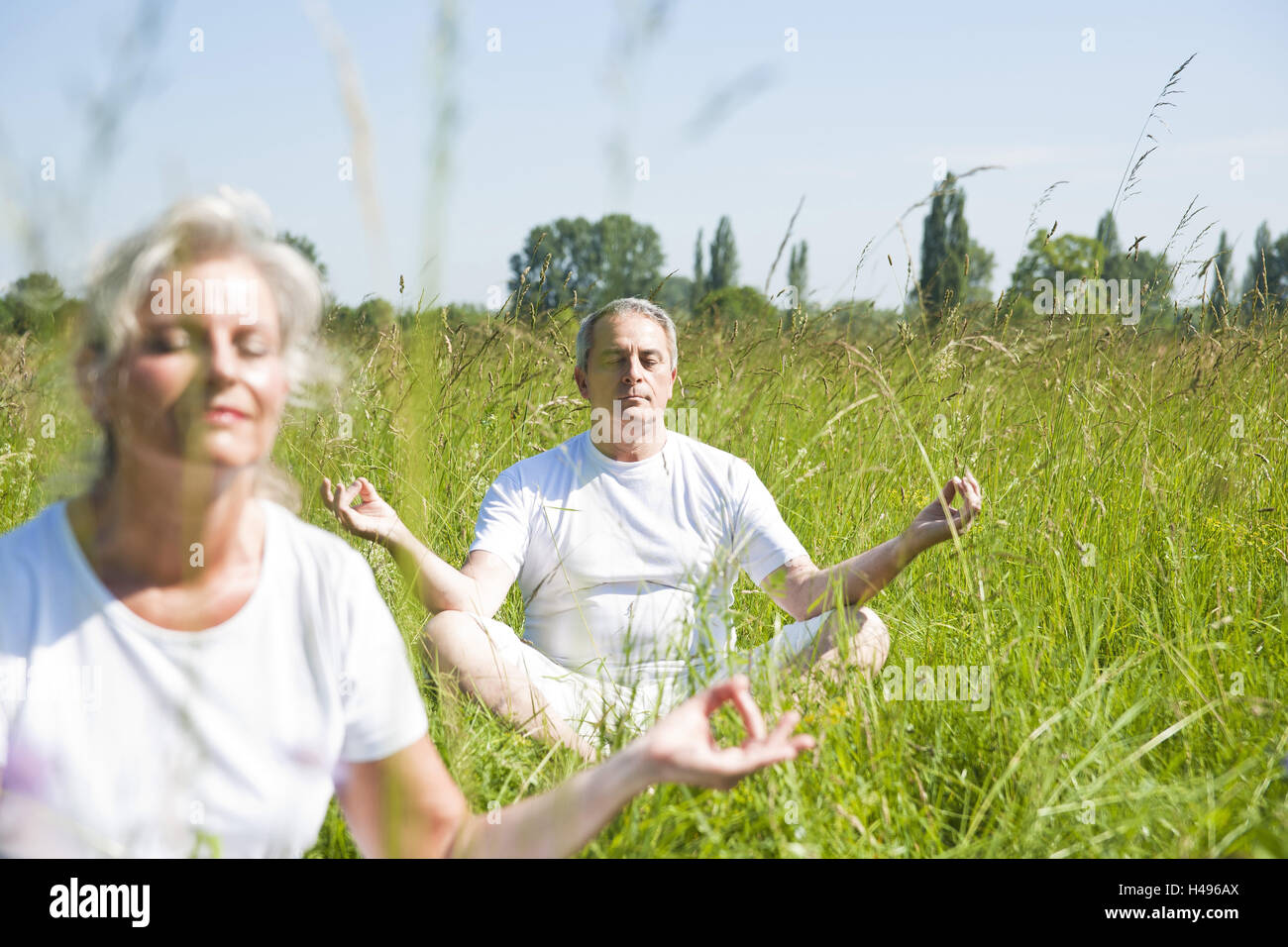 Coppia senior, yoga, natura, prato, Foto Stock