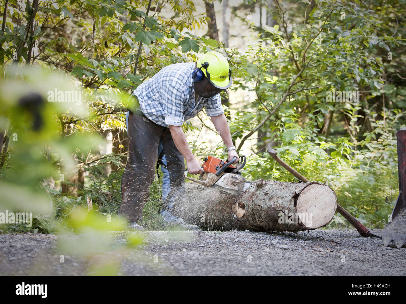 Lavoratore di foresta, chainsaw, tronco, segare, abbigliamento protettivo, Foto Stock