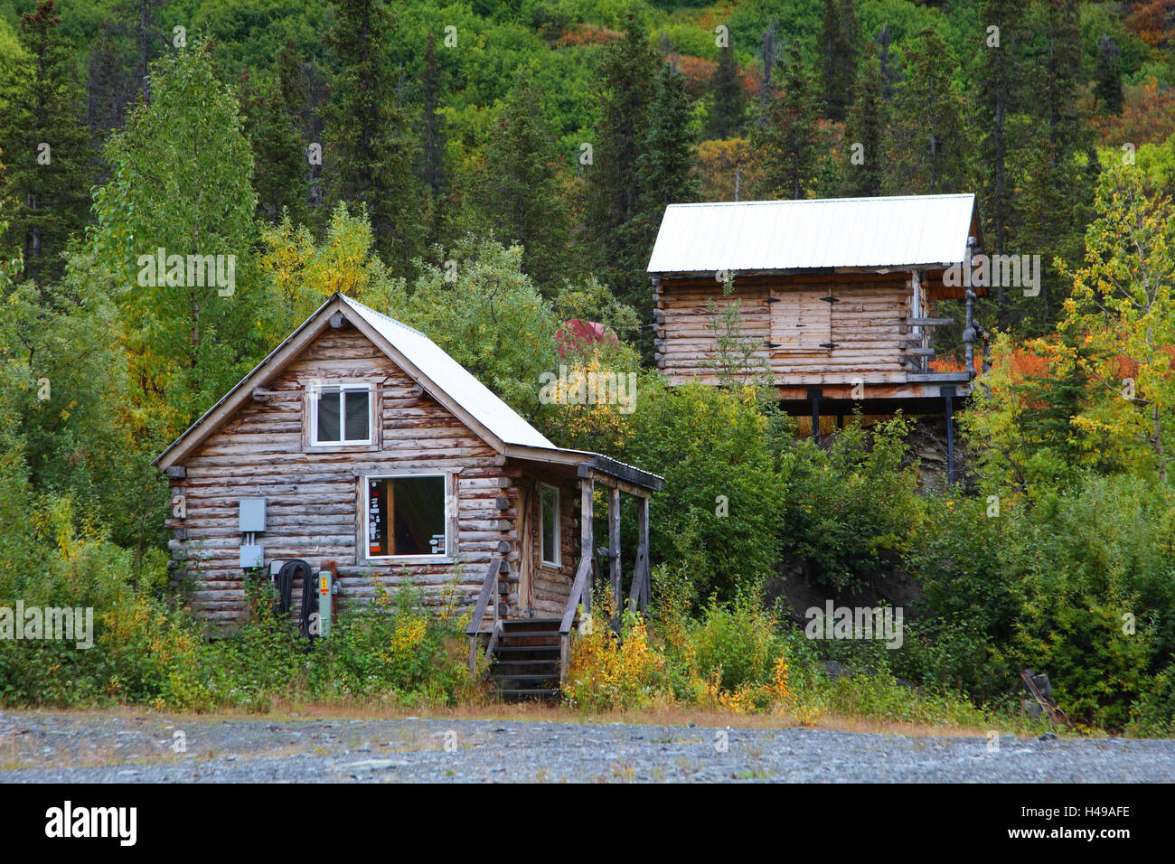 Trapper capanno, USA, Alaska, Foto Stock