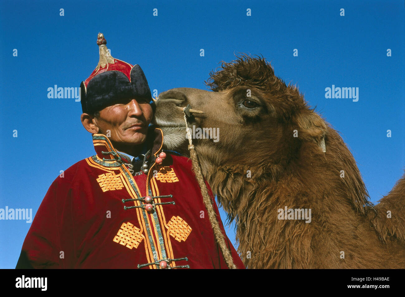 Mongolia, uomo nomade, cammello, "kiss", animale, ritratto, cielo, Asia, Asia Centrale, Asia Centrale, Gobi, persona, con orgoglio, mongola, in mongolo, semi nomade, camel nomade, viaggiatore, spurgo, copricapo, costume nazionale, Deel, tradizionalmente, tipicamente, meteo-conciate, felice, animali mammiferi, il vecchio mondo di cammello, di beneficiare gli animali, bestia onere, equitazione animale, blockhead animale, team, touch, coccola, 'Whisper' affetto, la sutura, di amore, di solidarietà, di amicizia, animale-amoroso, sussurra, affettuosamente, affettuosamente, ironicamente, umorismo, Foto Stock
