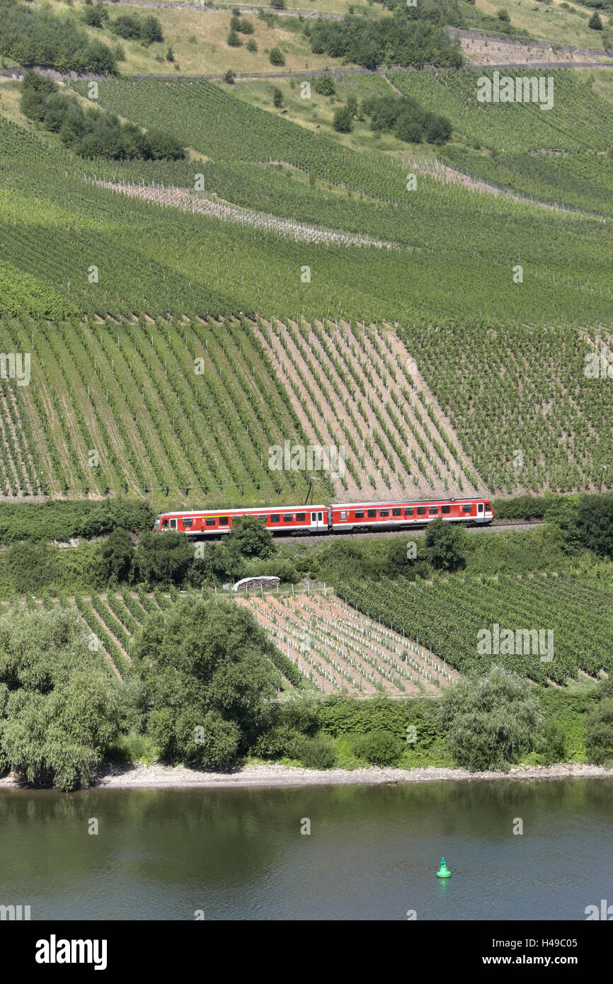 In Germania, in Renania Palatinato, Reil, la Mosella, vigneti, treno, Foto Stock