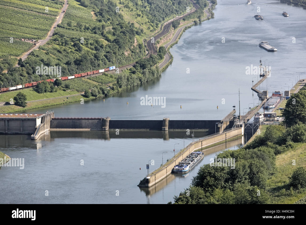 In Germania, in Renania Palatinato, Neef, la Mosella, fiume, navi, traffico passo, chiusa, vigneto, treno, Foto Stock