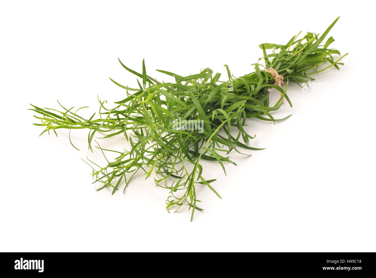 Mazzetto di dragoncello fresco erbe isolato su bianco Foto Stock