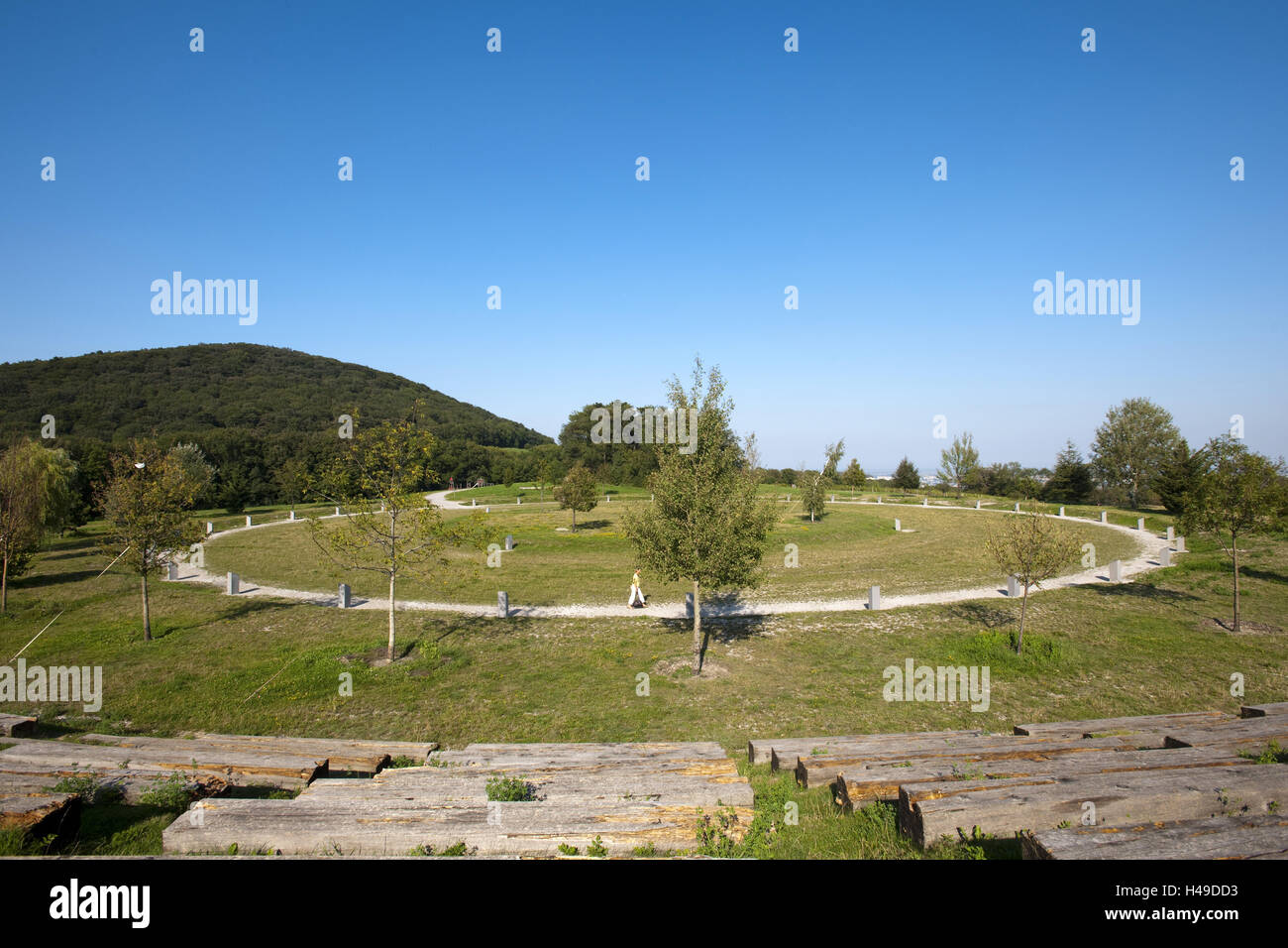 Austria, Vienna, Bosco Viennese, albero della vita cerchio nel cielo, Foto Stock