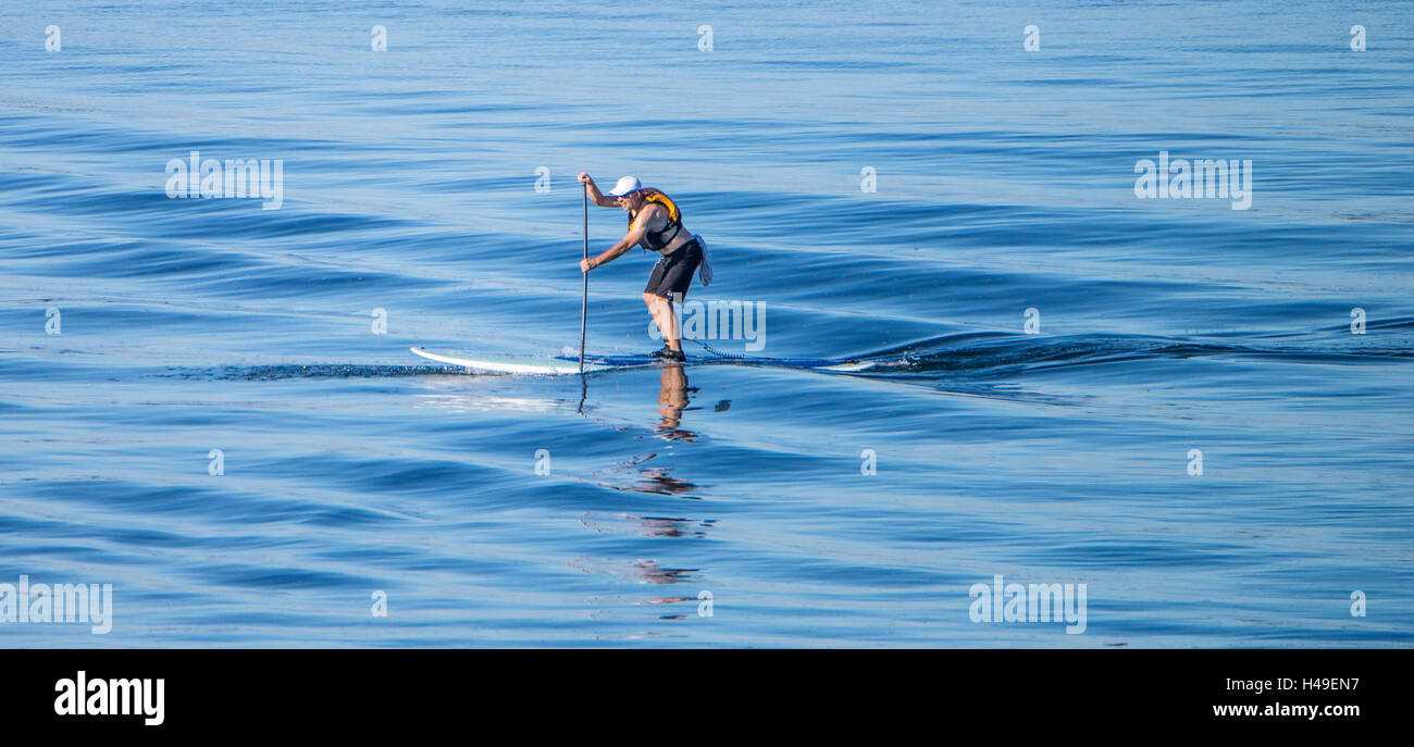 Persone paddle imbarco sulle onde sul Puget Sound, Washington. Stati Uniti d'America Foto Stock