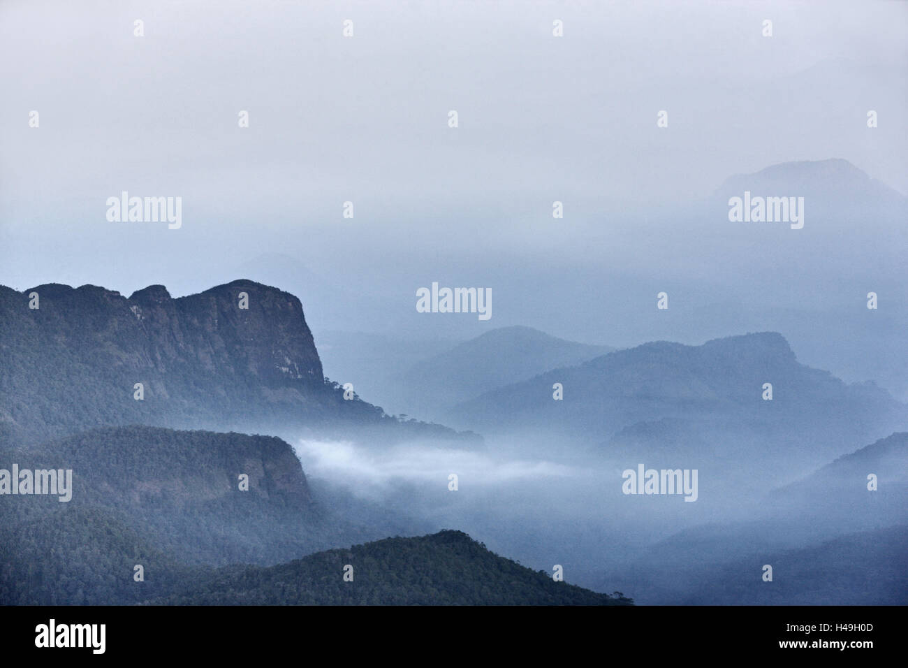 Sri Lanka, montagne, alba, Foto Stock