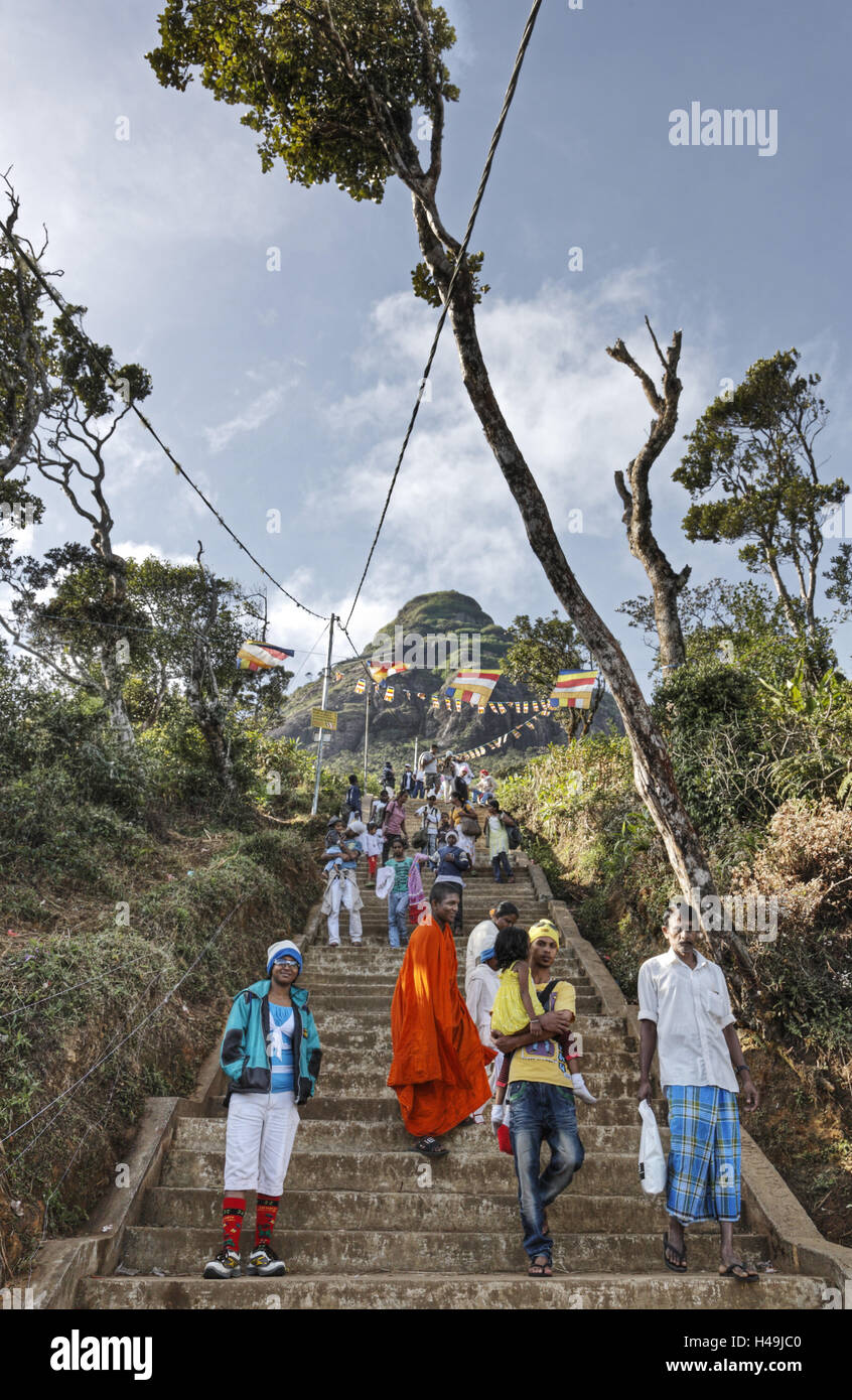 Sri Lanka, persone, scale, discendente Foto Stock