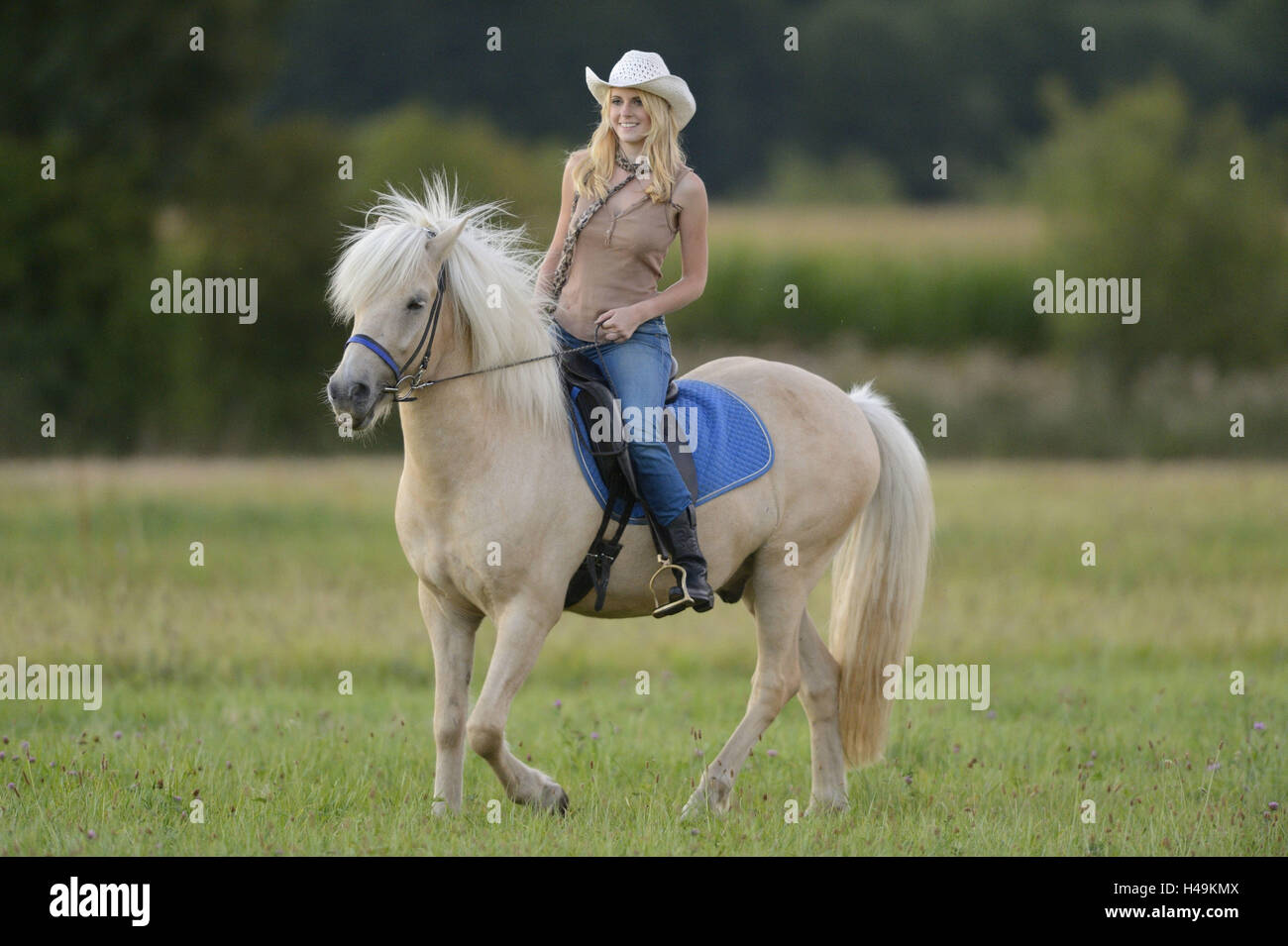 Giovane donna, cavallo, Islanda cavallo, prato, vista frontale, equitazione, guardando la telecamera, paesaggio, Foto Stock