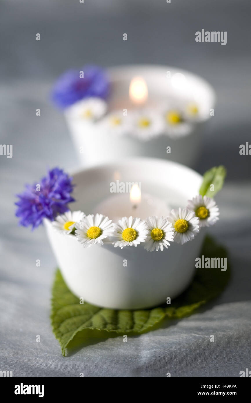Piccole ciotole bianche con candele galleggianti e margherite Foto stock -  Alamy