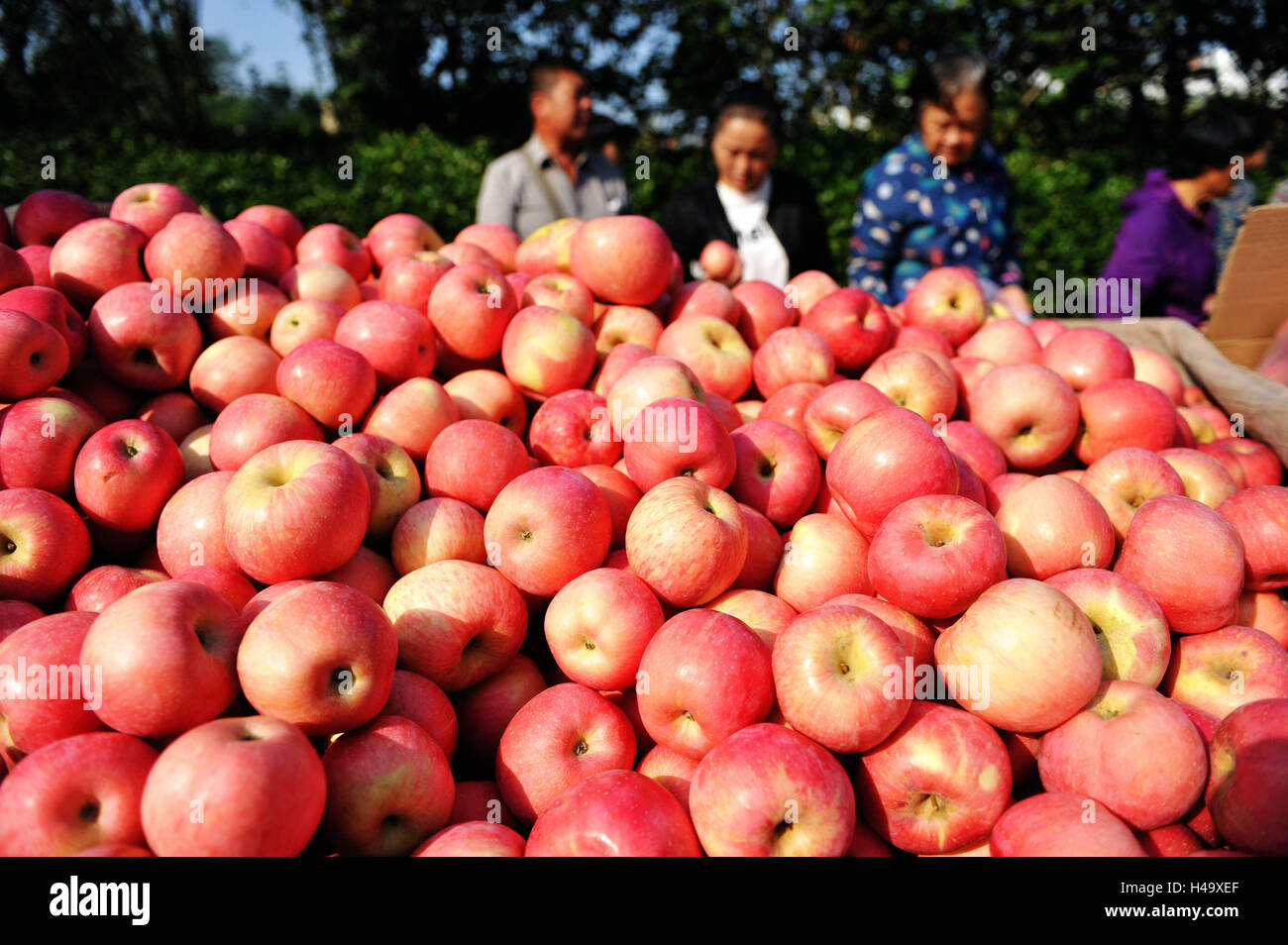 Qingdao, Qingdao, Cina. Xiv oct, 2016. Qingdao, CINA-ottobre 14 2016: (solo uso editoriale.CINA OUT) Cittadini acquistare mele in un mercato di Qingdao, Cina orientale della provincia di Shandong, Ottobre 14th, 2016. Secondo le statistiche rilasciate dalla Cina¡Â¯s Ufficio Nazionale di Statistica, della Cina di indice dei prezzi alla produzione (IPP), che misura i costi per beni nella fabbrica di gate, si è conclusa una 54-mese dritto declino. Il PPI figure è venuto con il rilascio dell'indice dei prezzi al consumo, che sono aumentati del 1,9 per cento anno su anno nel mese di settembre e del 0,7 per cento su base mensile. (Credito Immagine: © SIPA Asia via Z Foto Stock