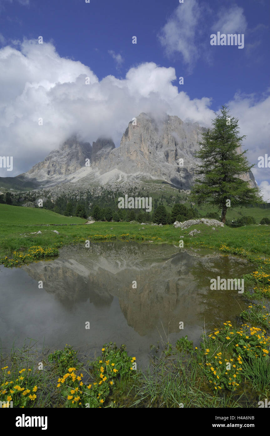 L'Italia, Alto Adige, Dolomiti, Pordoijoch, Sassolungo, lago di montagna, mirroring Foto Stock