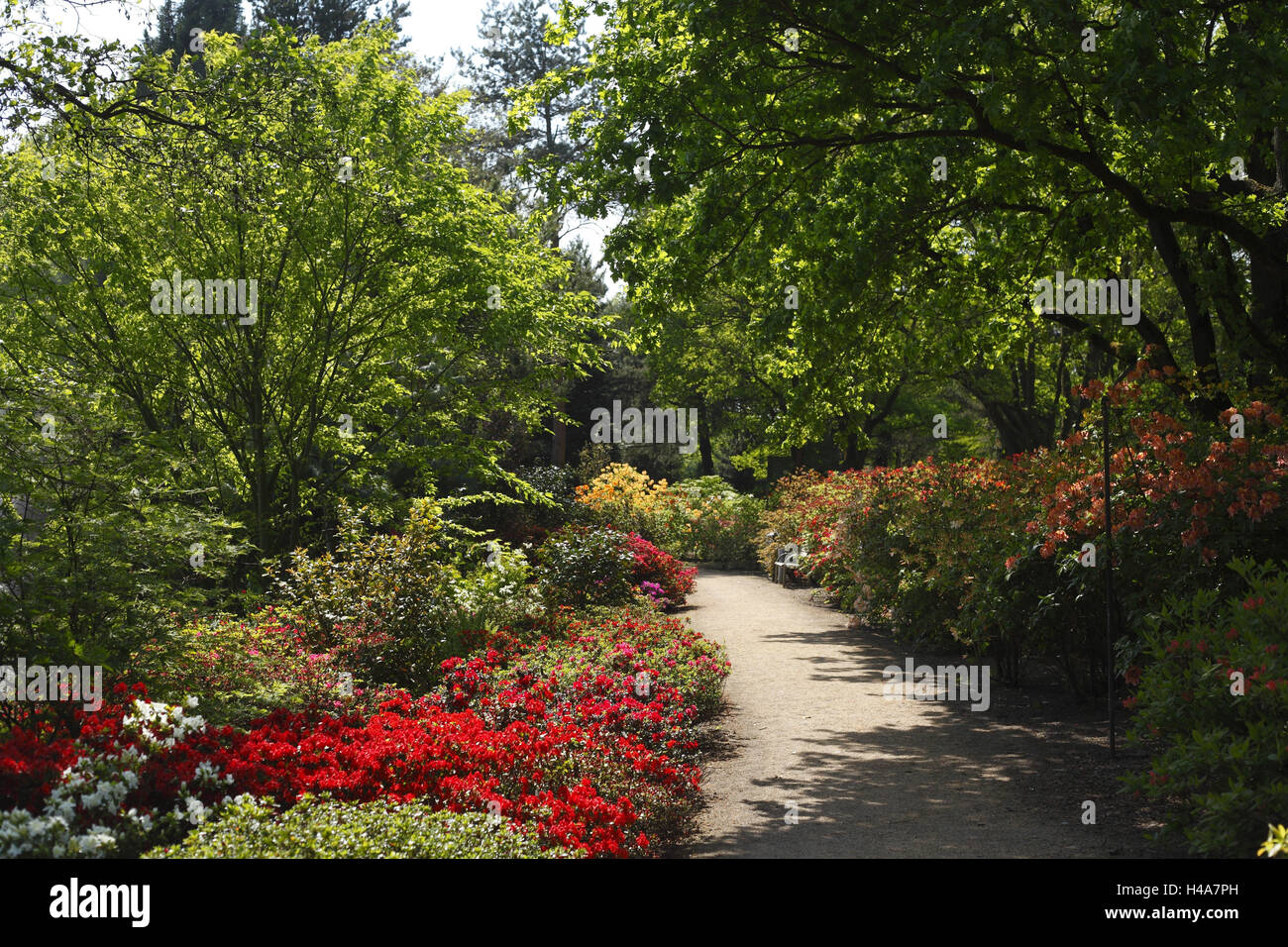 Germania, Bassa Sassonia, bagno Interforefather, parco giardino, Foto Stock