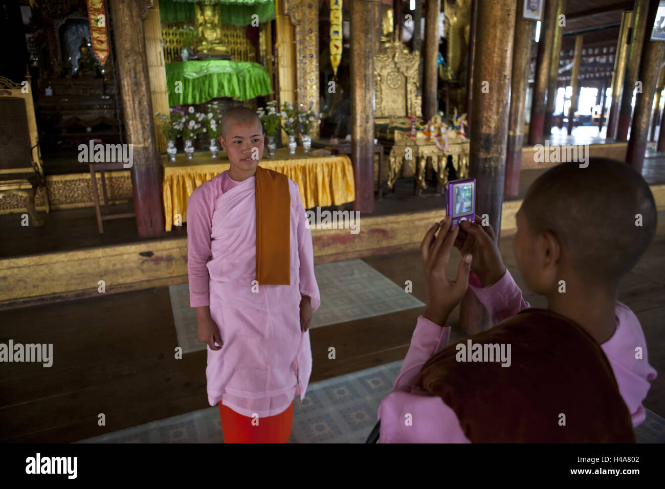 Myanmar, stato Shan, Regione Lago Inle, regione Samkar, Nga Phe Kyaung chiostro e convento dei gatti di salto, monaco fotografato, Foto Stock