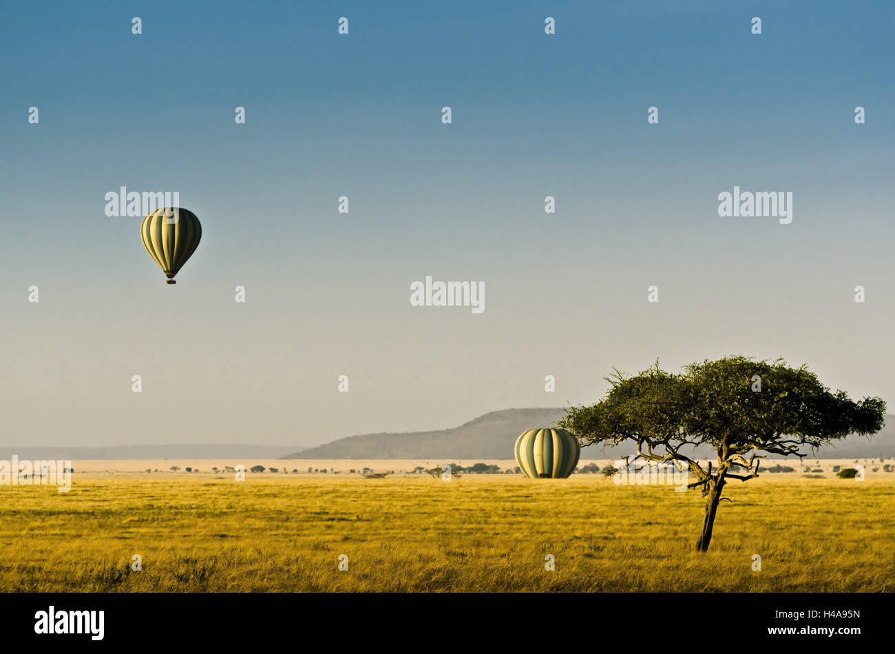 Africa, Tanzania Africa Orientale, Serengeti National Park, il palloncino, mongolfiera, balloon ride, Foto Stock