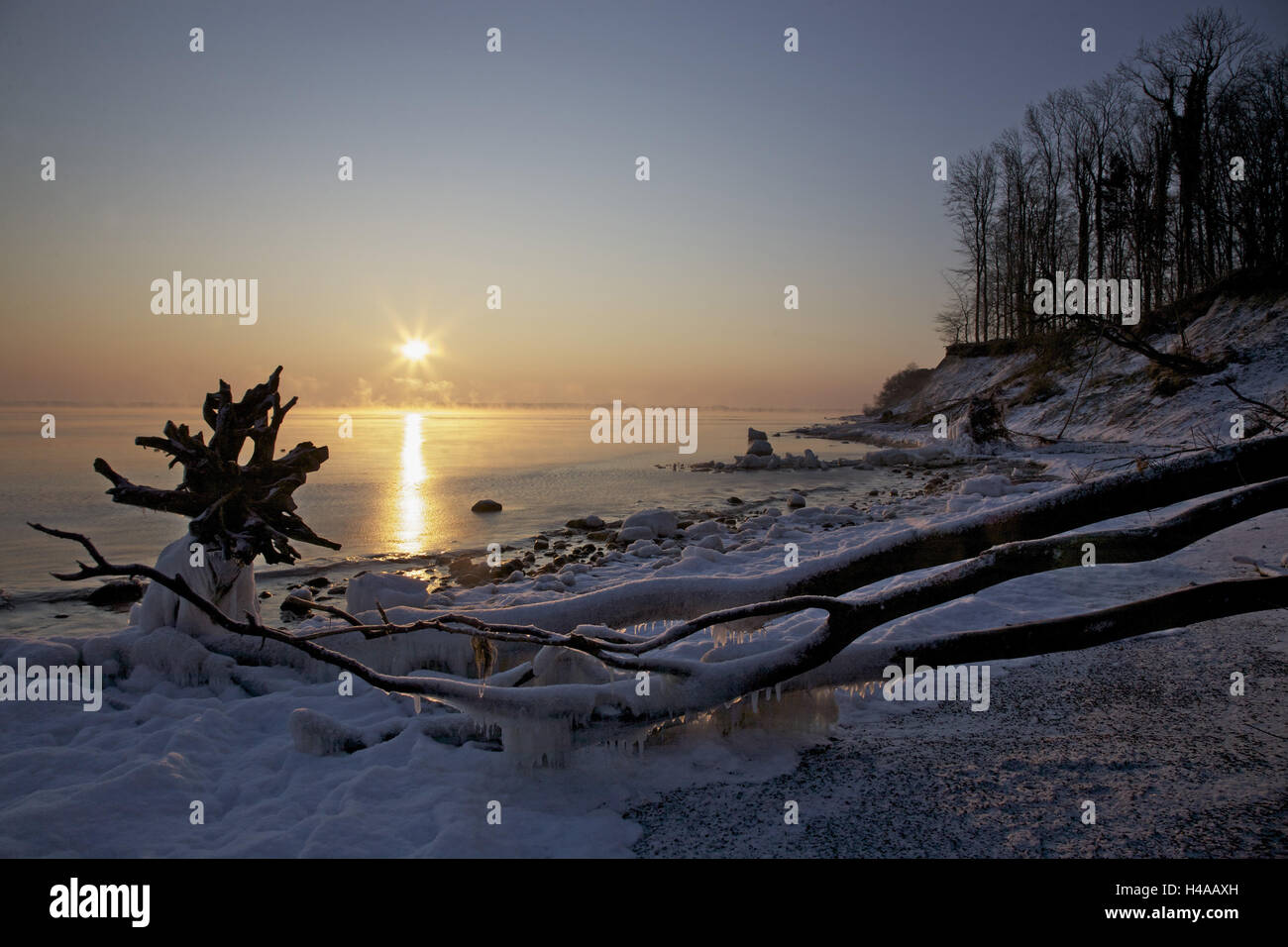 Sunrise al di sopra della baia di Lubecca nella parte anteriore del Brodtener Ufer, Foto Stock