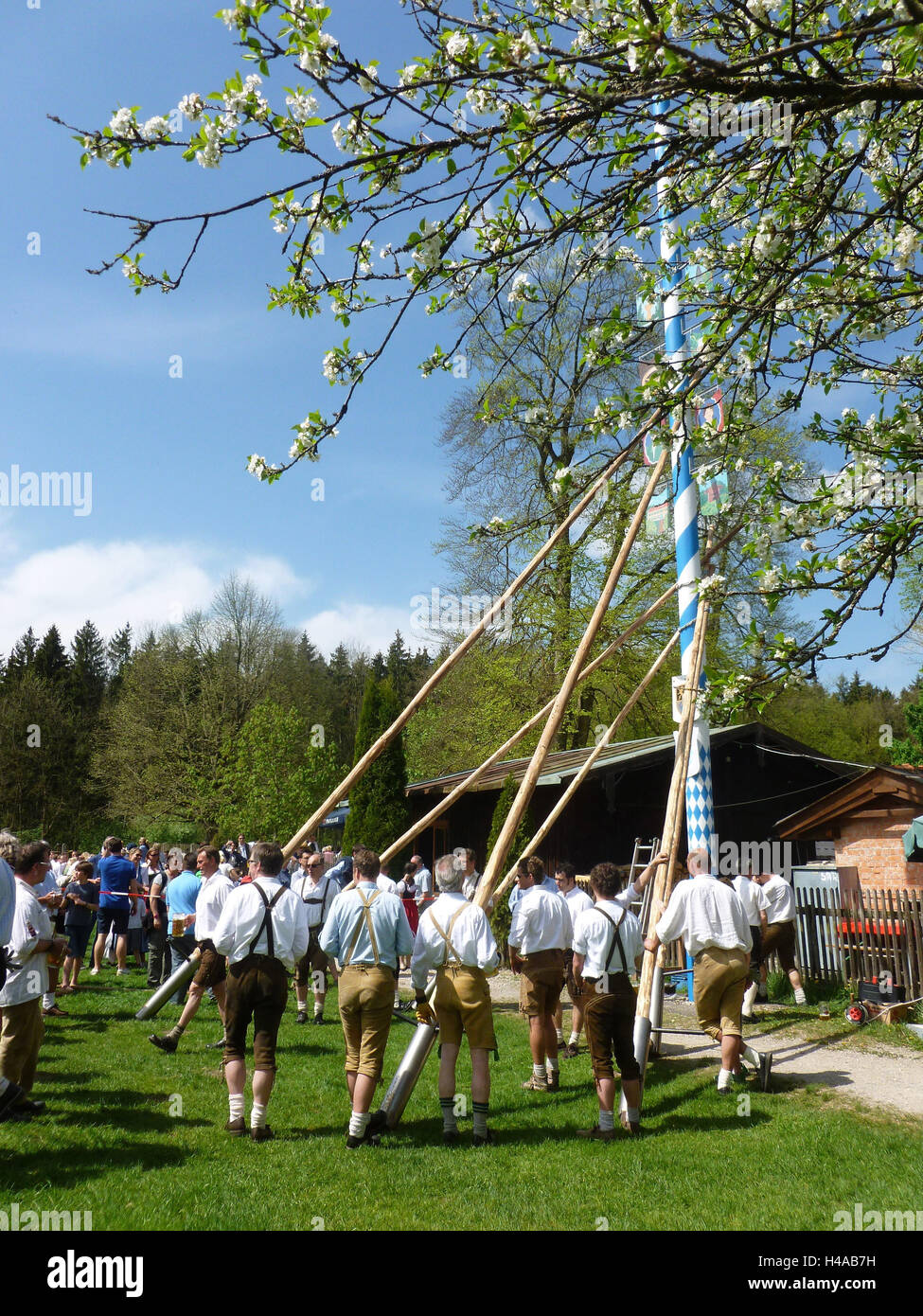 In Germania, in Baviera, maypole pick casi con piano villaggio nel parco Forstenrieder nel forester house, Foto Stock