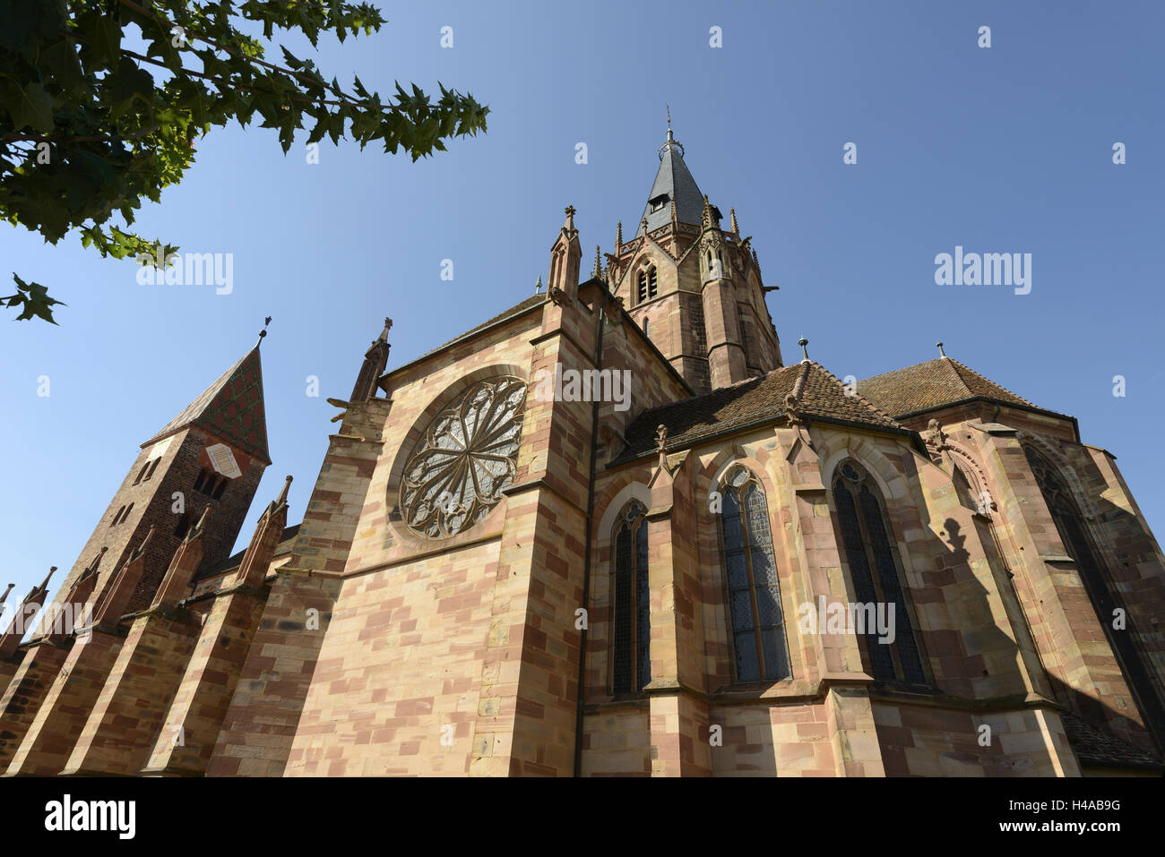 Wissembourg, Città Vecchia, chiesa, Eglise Saints Pierre et Paul, Alsazia, Francia, Foto Stock