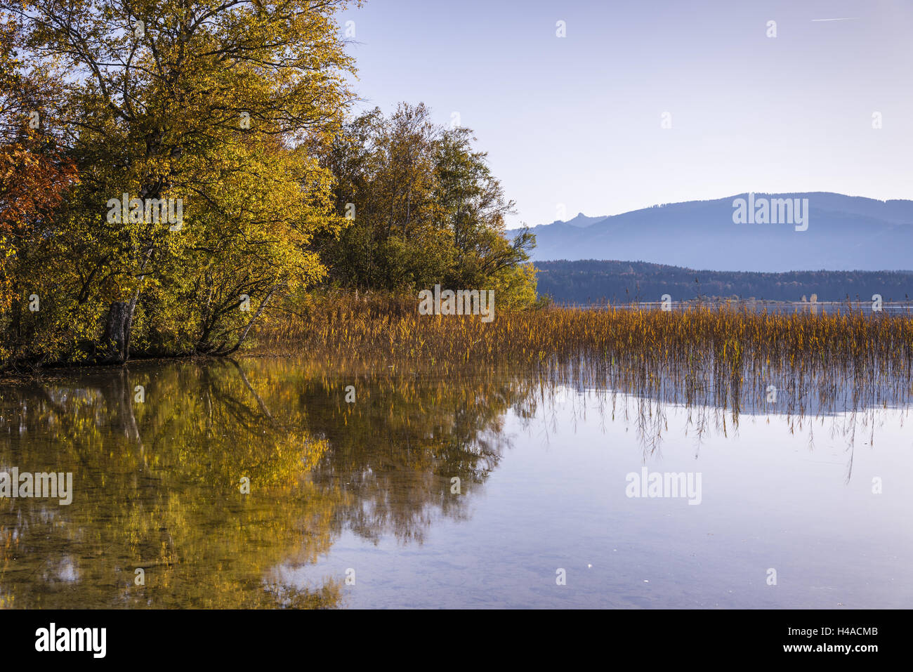 In Germania, in Baviera, Baviera, sacerdote angolo, Uffing nella serie lago, serie lakeside contro Ammergebirge, Foto Stock