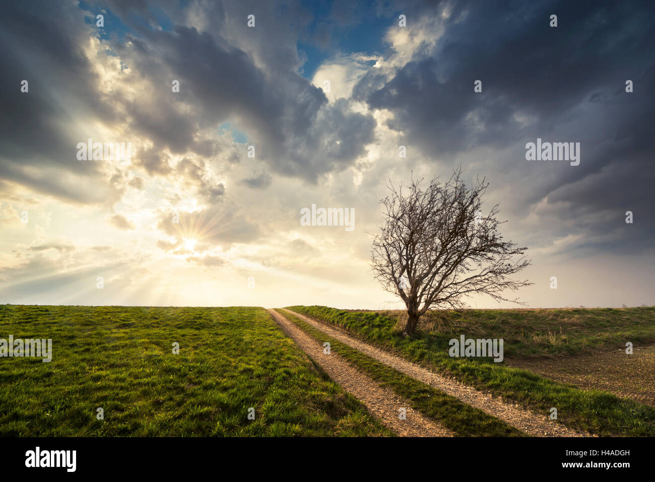 In Germania, in Baviera, 'Augsburg terra' (quartiere), prato, vicolo del paese, Foto Stock