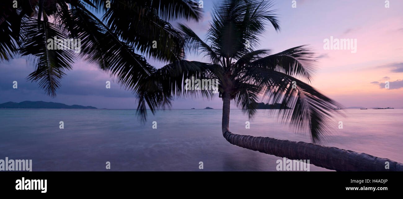 Seychelles, Praslin, Oceano Indiano, Anse Volbert, palm, sul mare Foto Stock