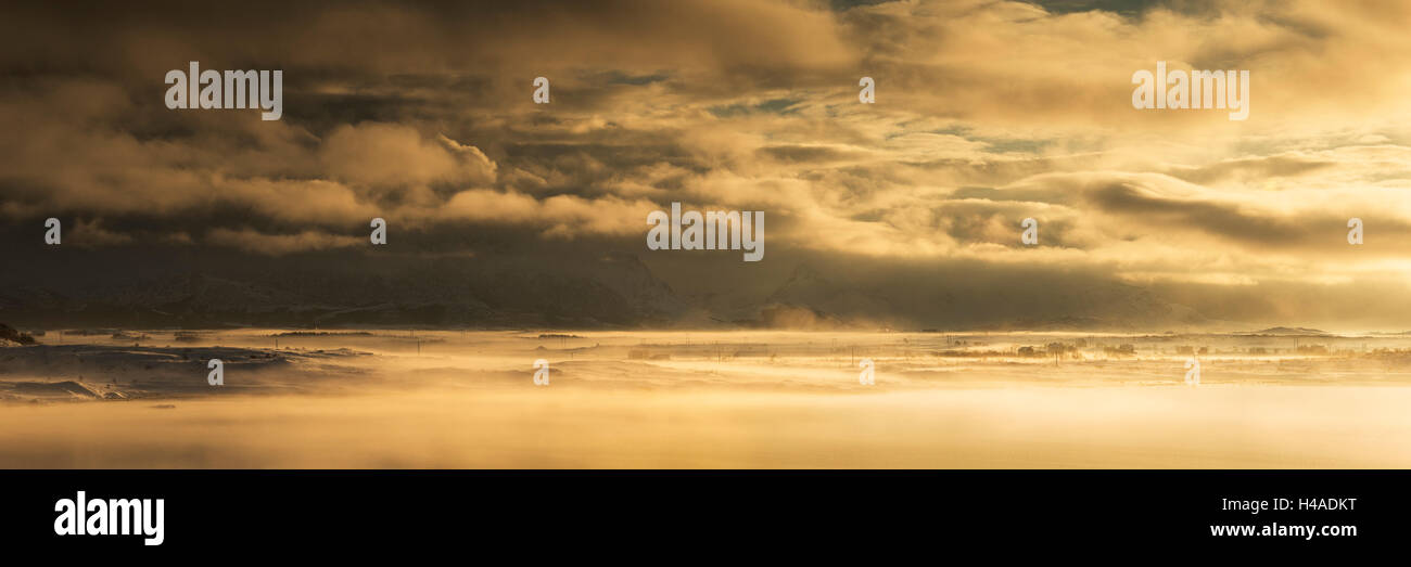 La nebbia, giallo luce, umore, Foto Stock