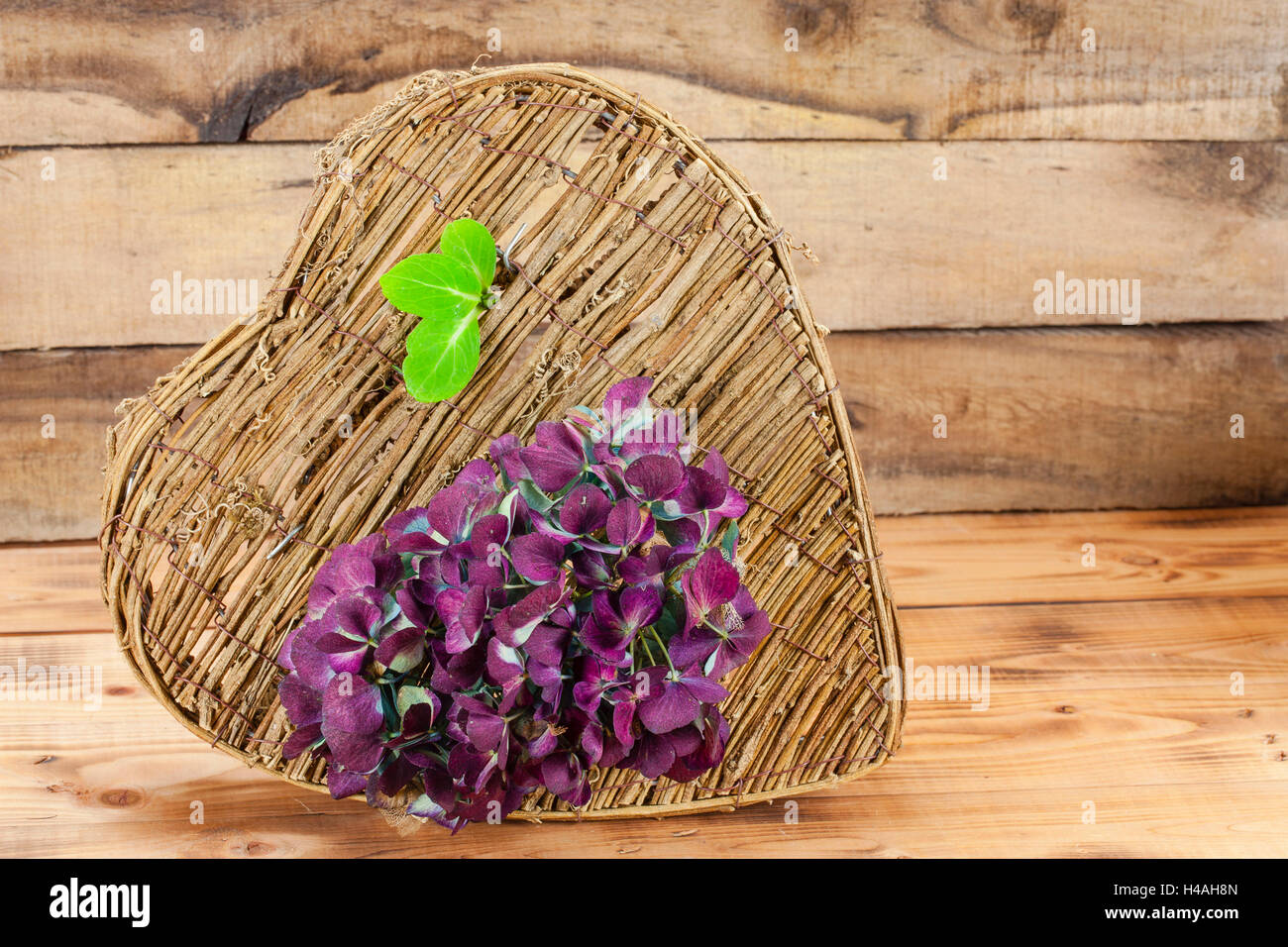 Cuore intrecciati di materiale naturale, ortensie Foto Stock