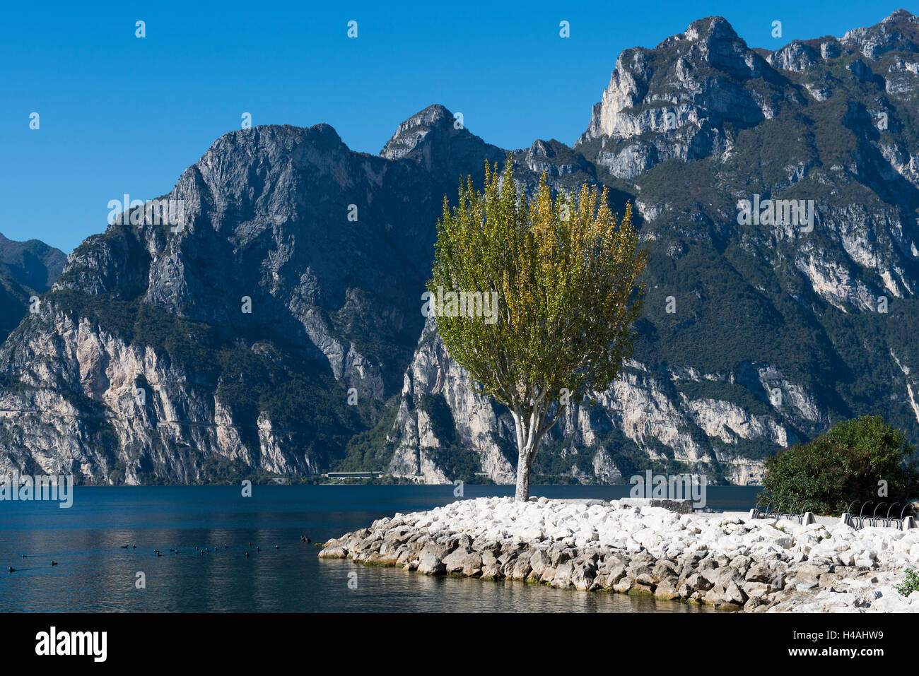 Il lago di Garda, Torbole, spiaggia, Trentino, Montagna Lago, Regione di vacanza rilassante vacanza, Foto Stock