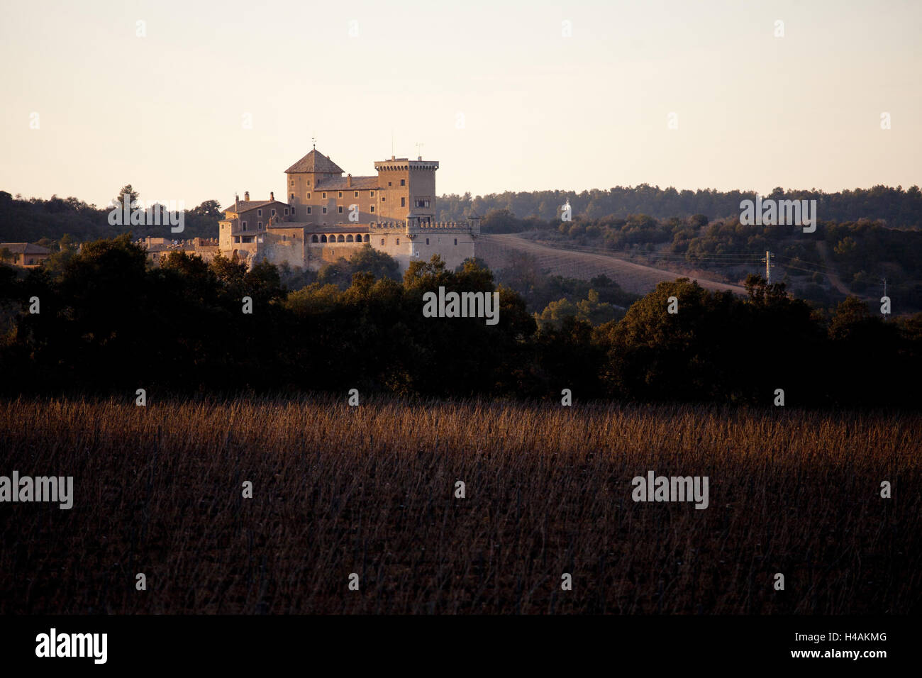 Chiostro sull'Cistercense percorso della "Ruta del Císter', provincia di Tarragona Catalogna, Foto Stock