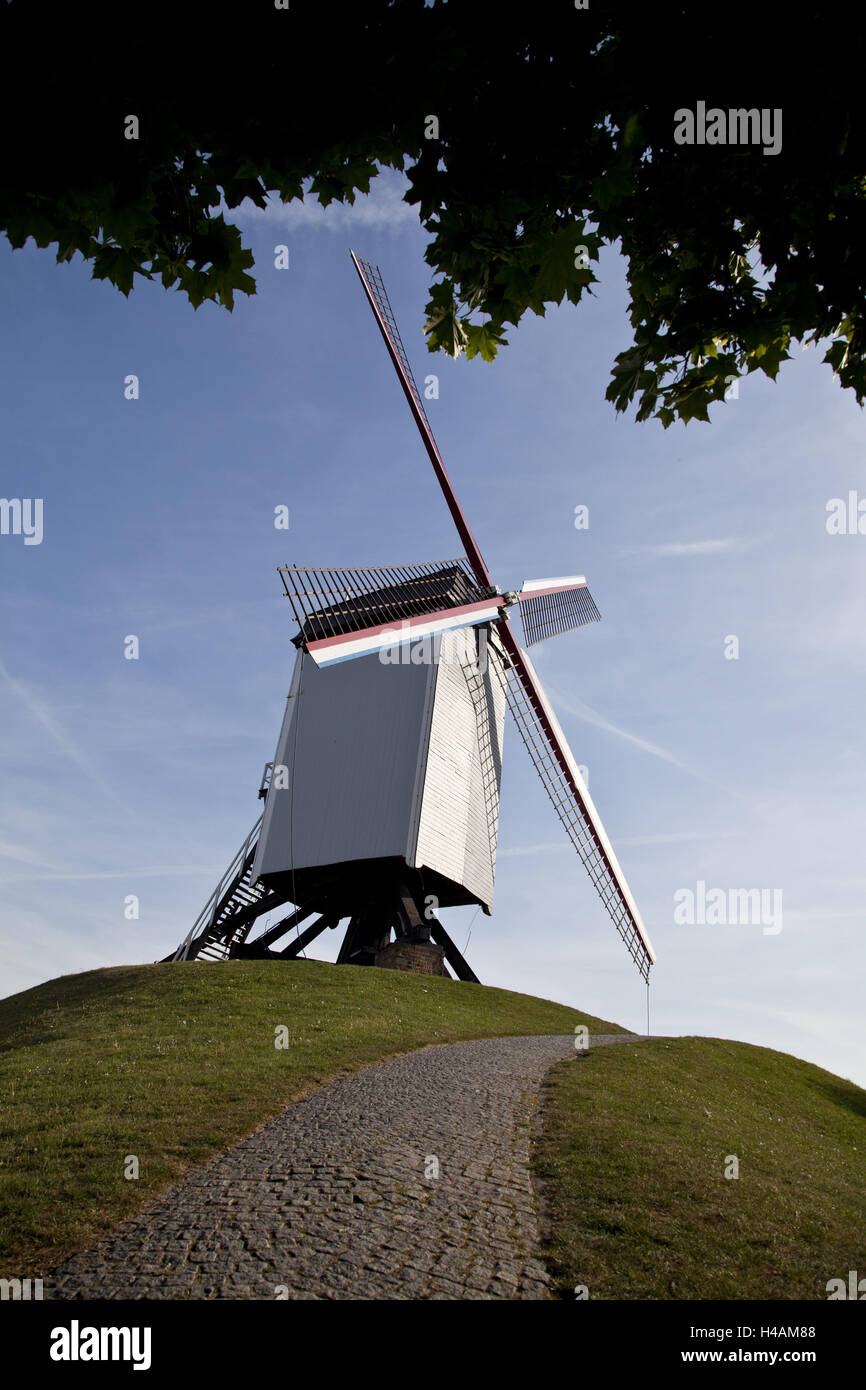 Il vecchio mulino a vento a Bruges, Belgio, Europa Foto Stock