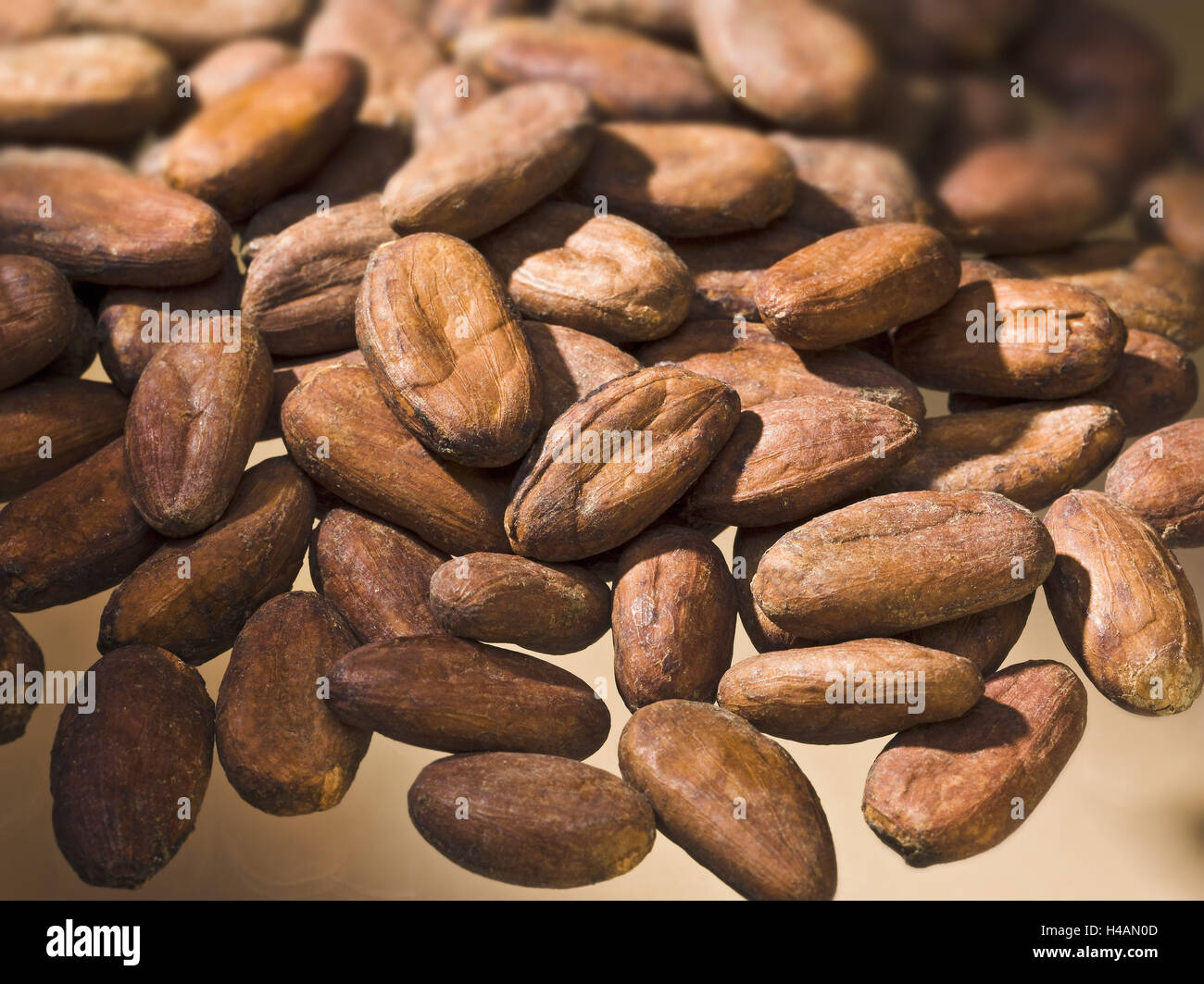 Semi di cacao, chicchi di cacao, Foto Stock