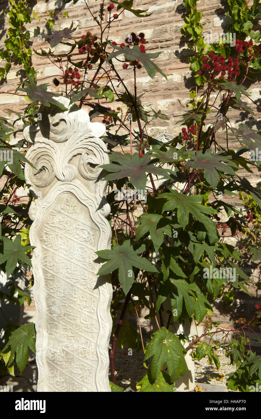 Turchia, Istanbul, Ordu Caddesi, tempo extra il Divan Yolu, moschea Laleli, tomba stele, Foto Stock