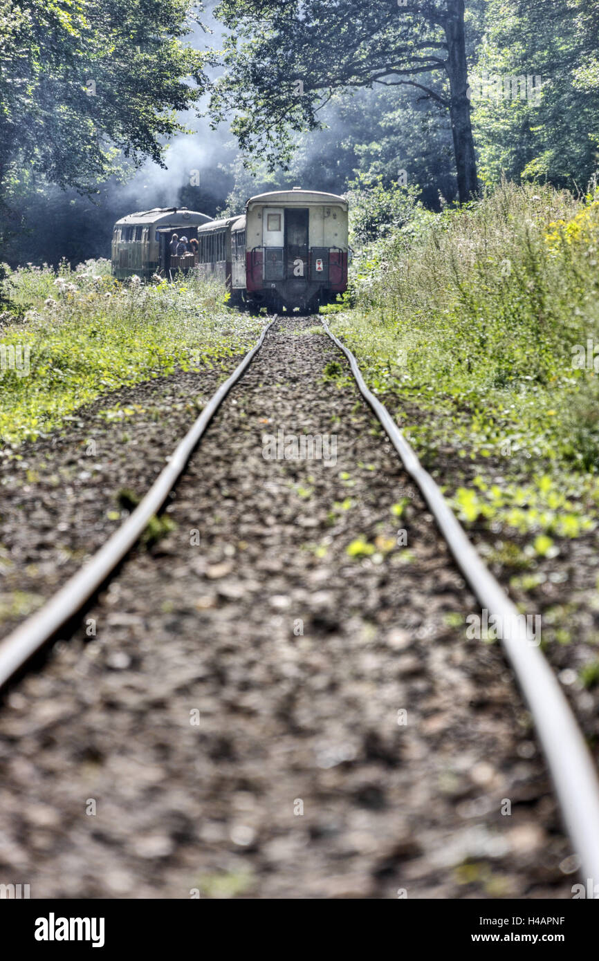 Treno sul binario sgangherato, Foto Stock