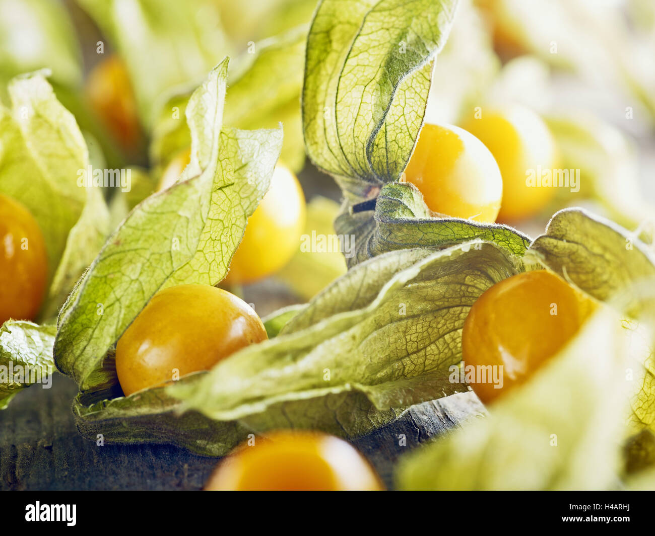Ribes del capo, Physalis, legno, cartone, marrone, arancione Foto Stock