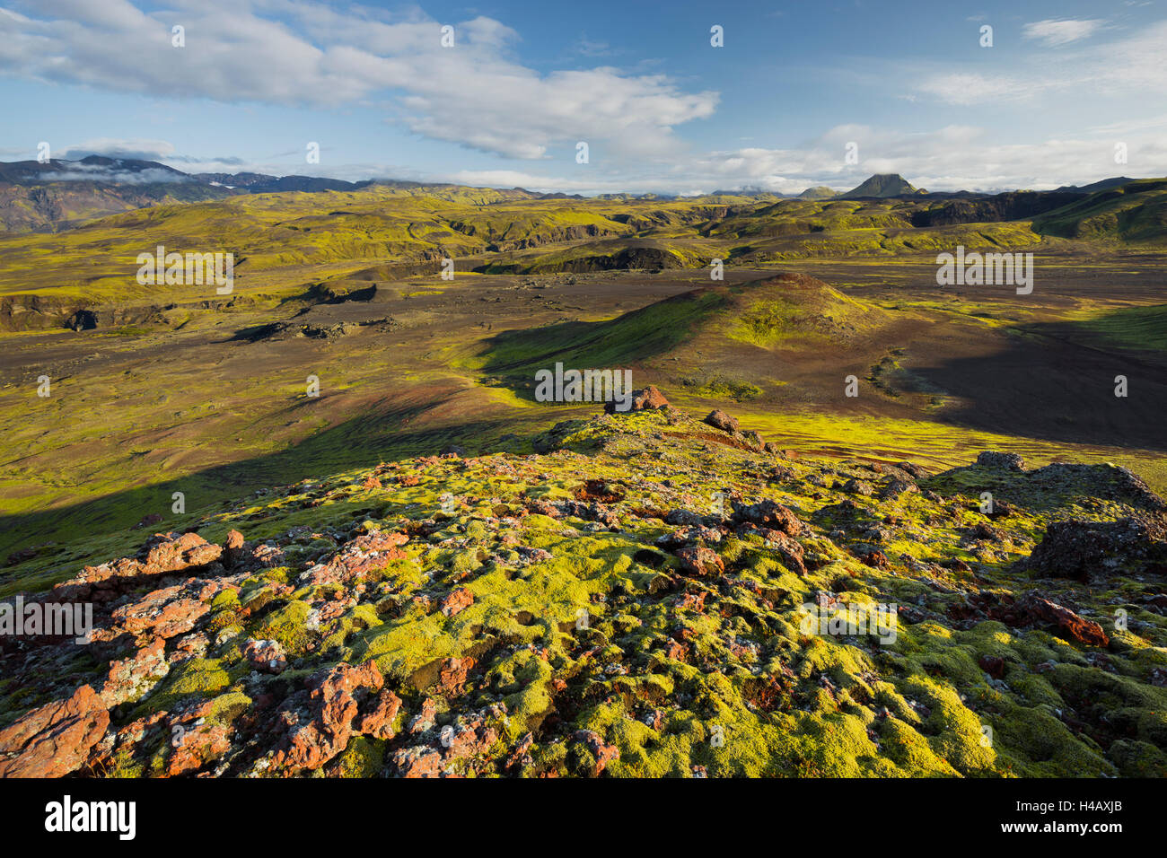 Fjallabak, Sud Islanda Islanda Foto Stock