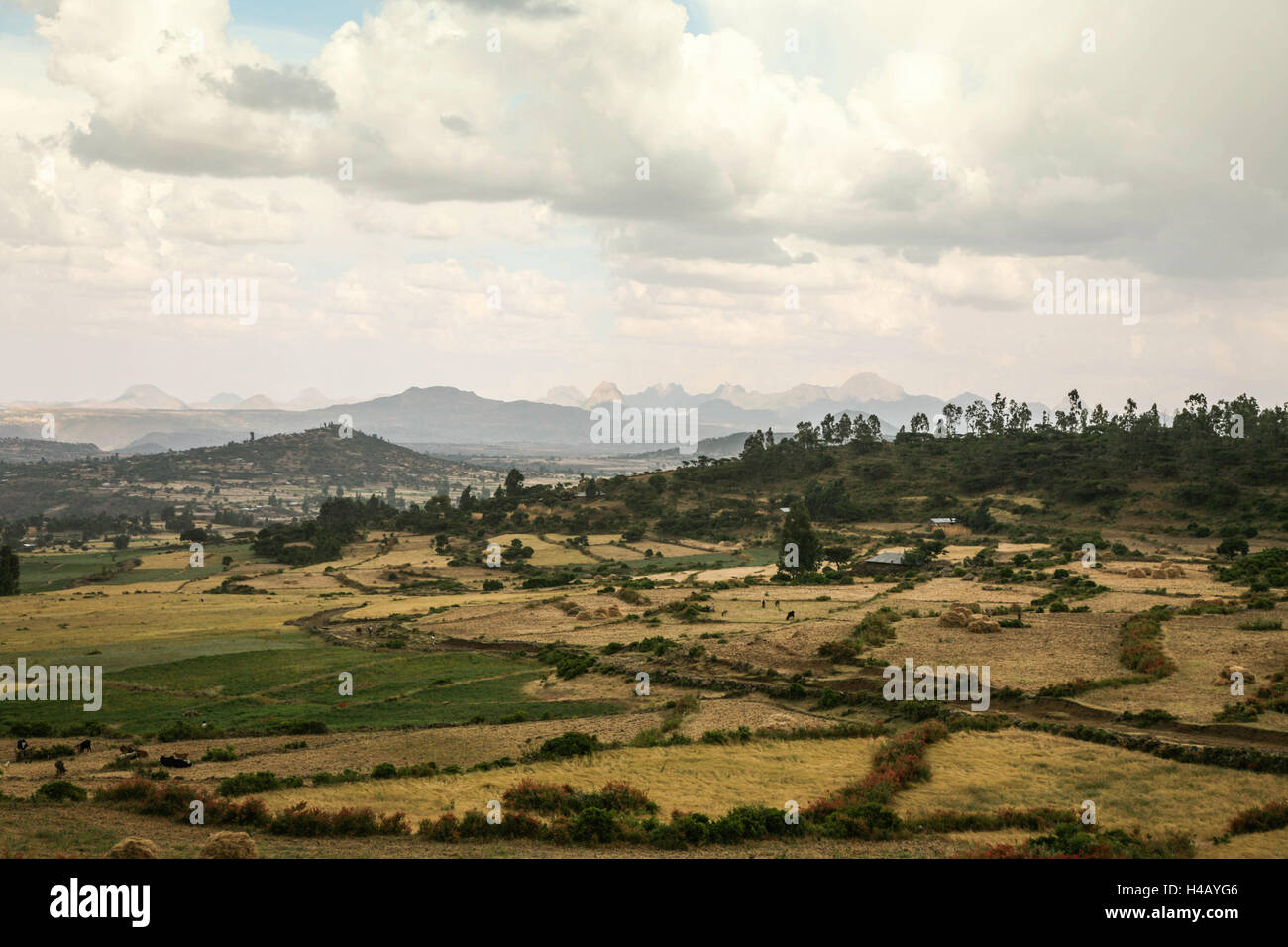 Axum, Etiopia Foto Stock