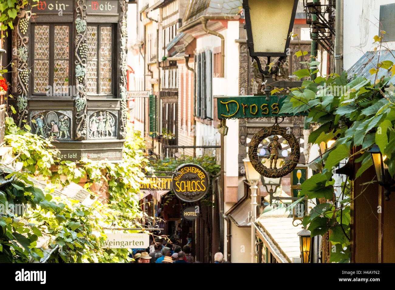 Pub, Wine bar e ristoranti, Drosselgasse, Rudesheim, la Gola del Reno, Germania, Europa Foto Stock