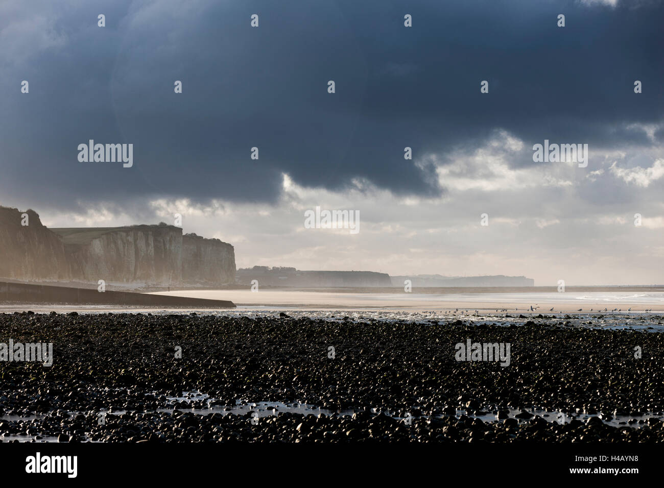 Cliff costa, Quiberville-Plage, Costa di alabastro, Normandia Foto Stock