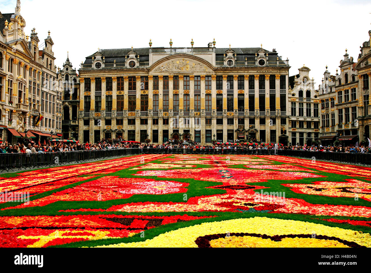 Il Belgio, Bruxelles capitale, Bruxelles, Grand Place, tappeto di fiori Foto Stock