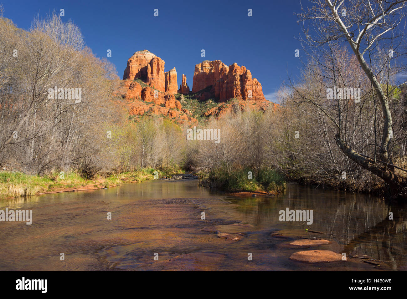 Cattedrale Rock, Oak Creek, il Red Rock State Park, a Sedona, in Arizona, Stati Uniti d'America Foto Stock