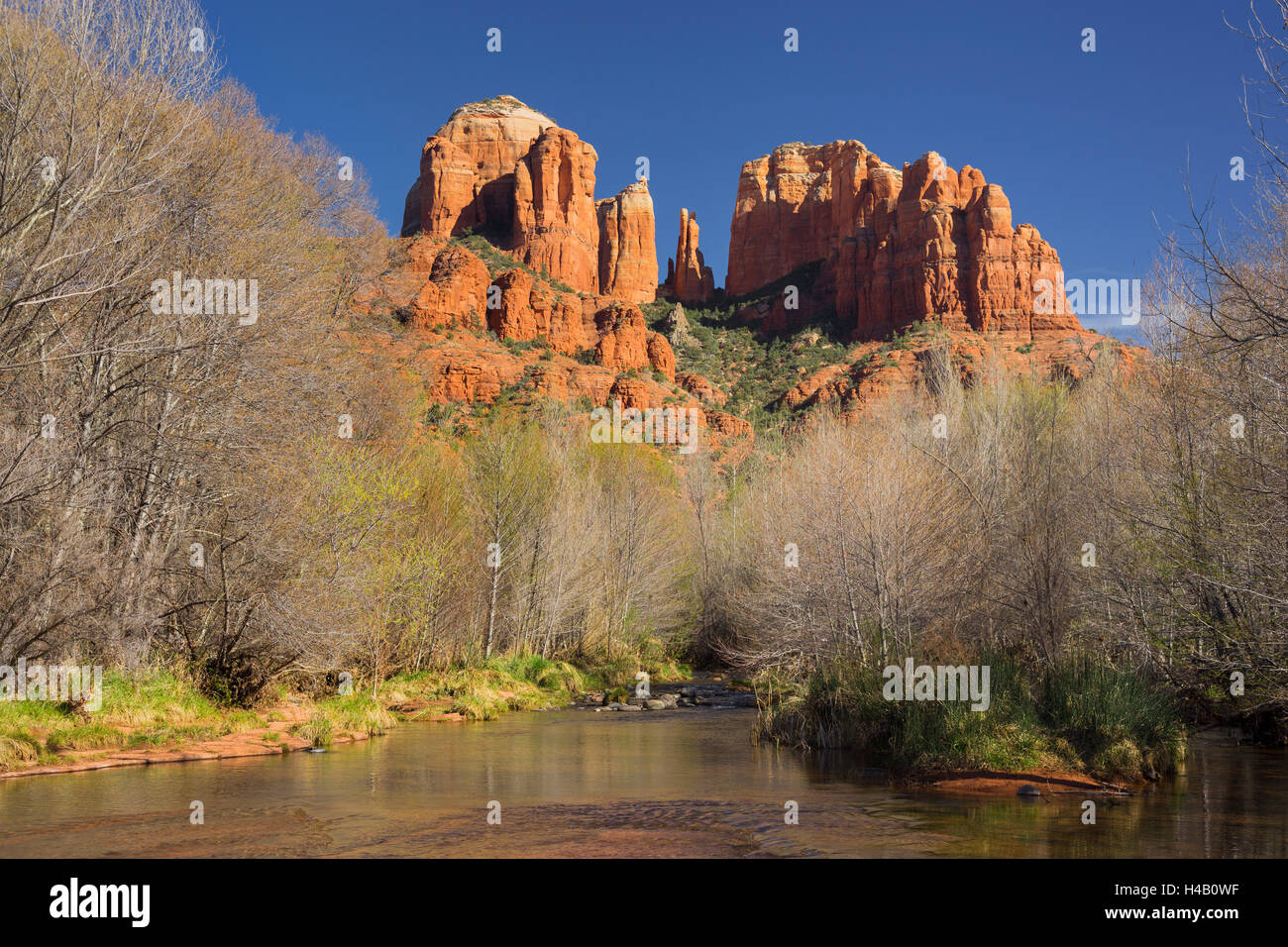 Cattedrale Rock, Oak Creek, il Red Rock State Park, a Sedona, in Arizona, Stati Uniti d'America Foto Stock