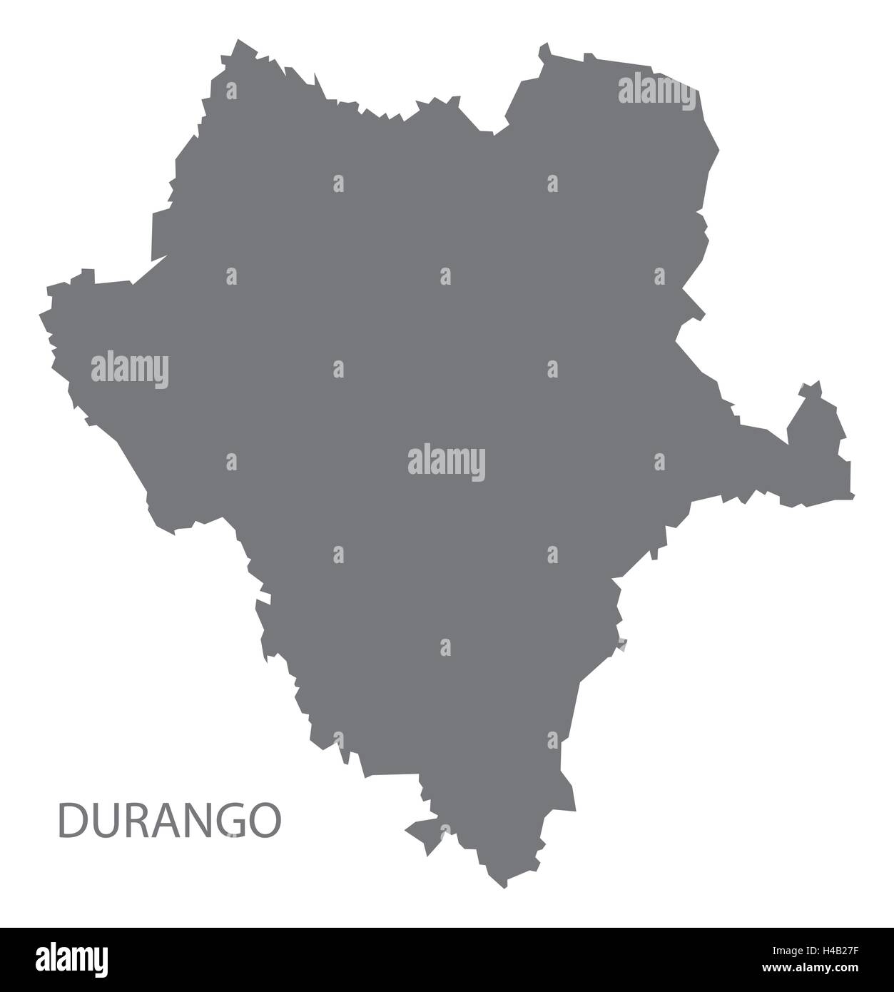 Durango Messico Mappa grigio Illustrazione Vettoriale