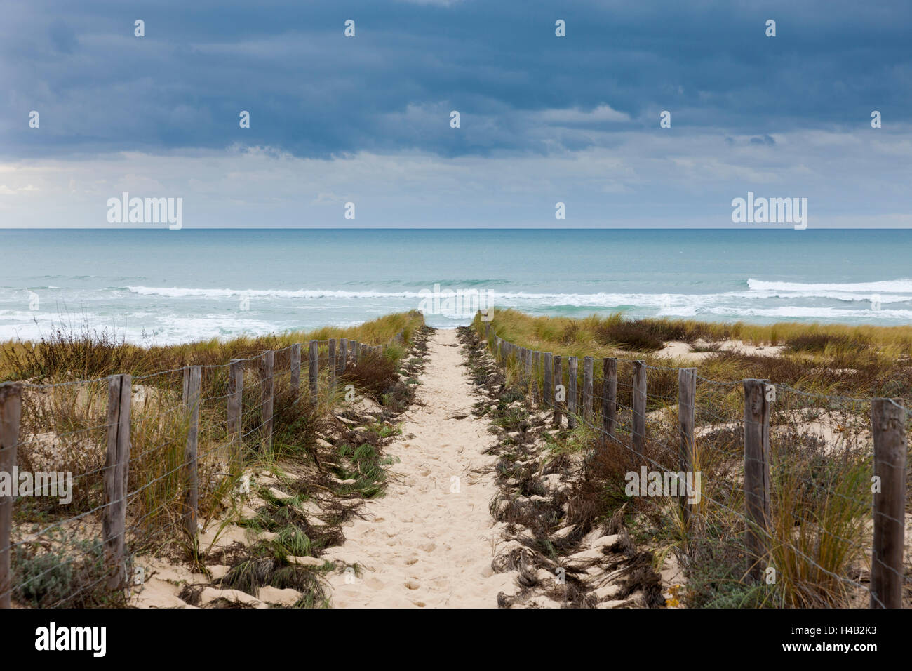 Paesaggio di dune a Cap Ferret Foto Stock