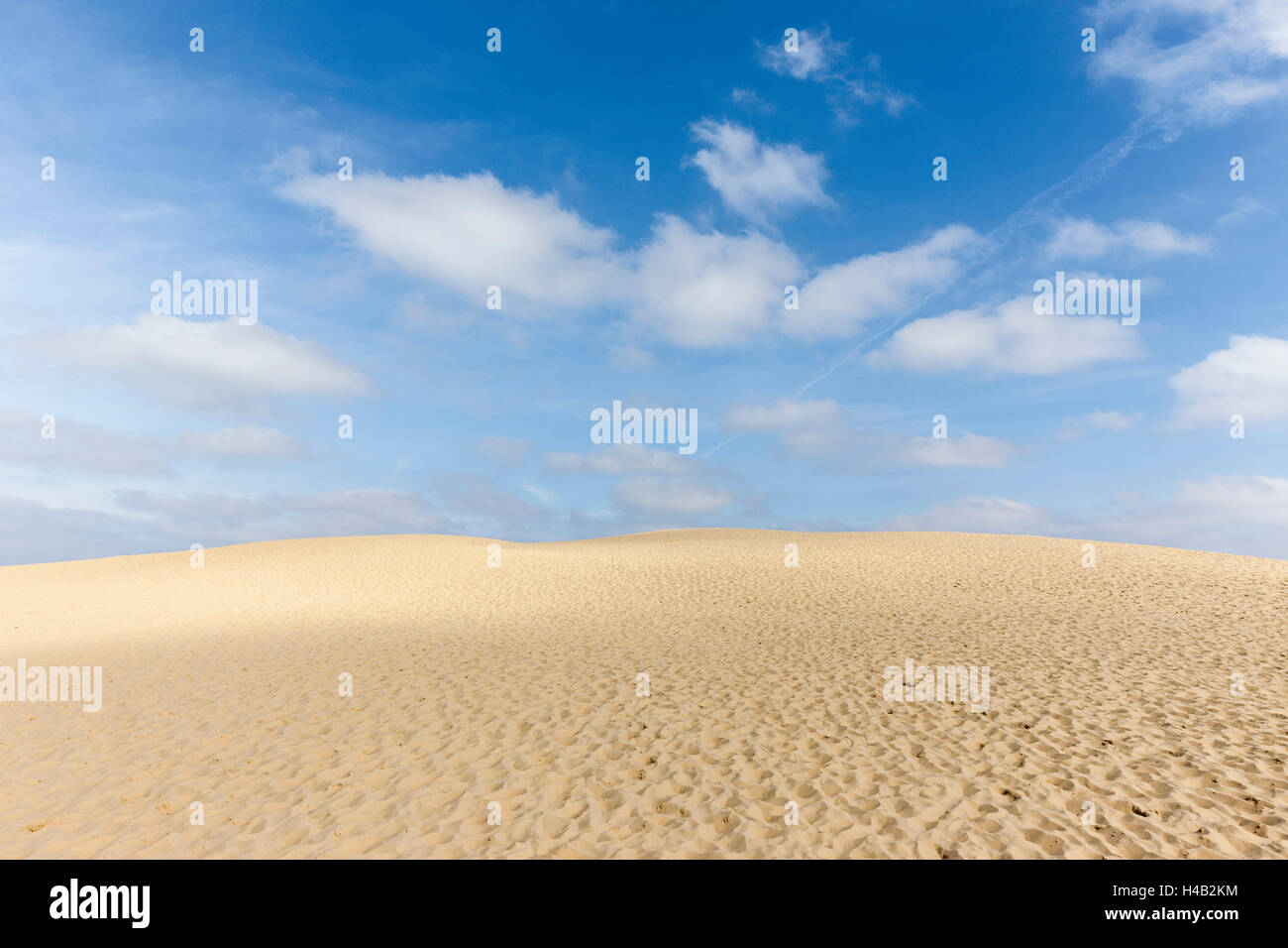 Il drifting duna di sabbia, Dune du Pilat, Aquitaine, Francia Foto Stock